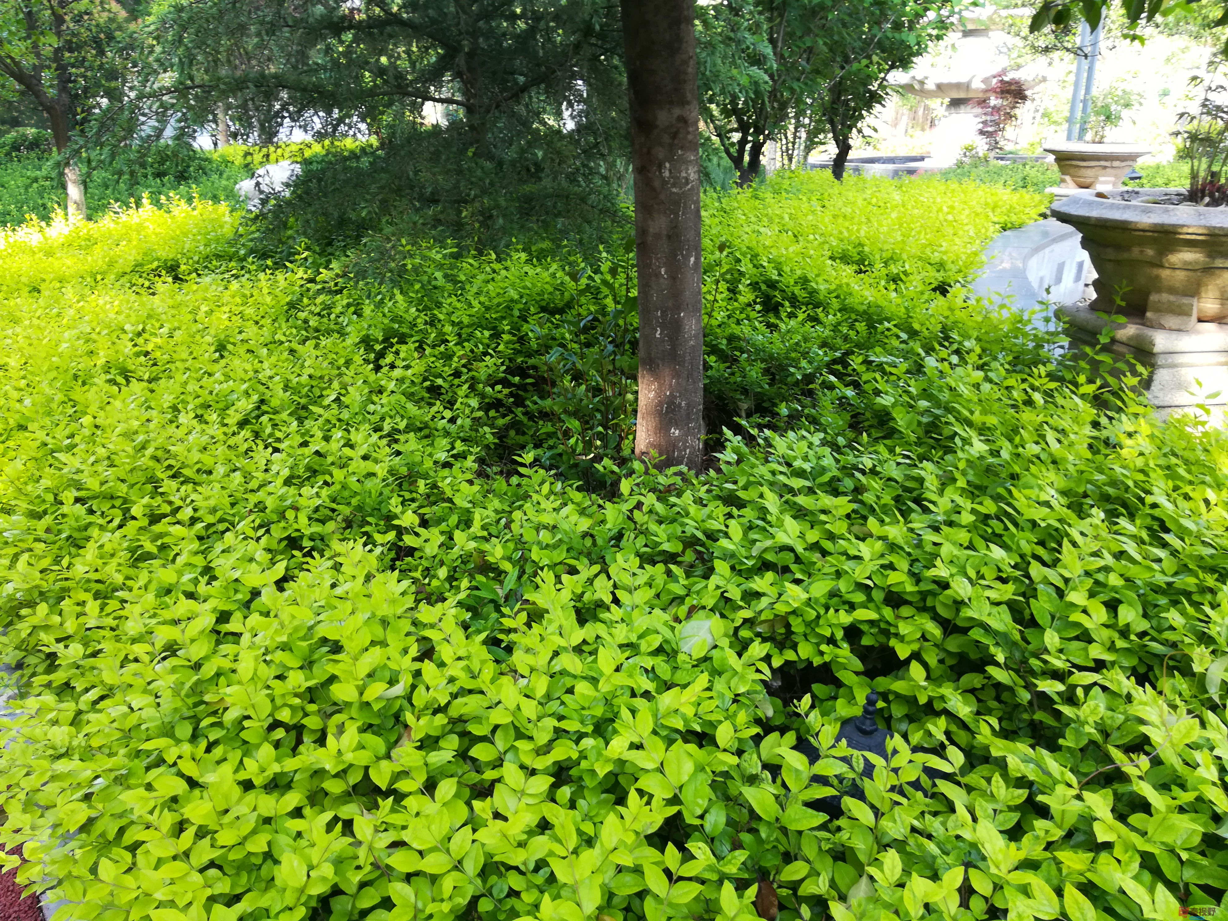 IMG_20190517_075058.jpg