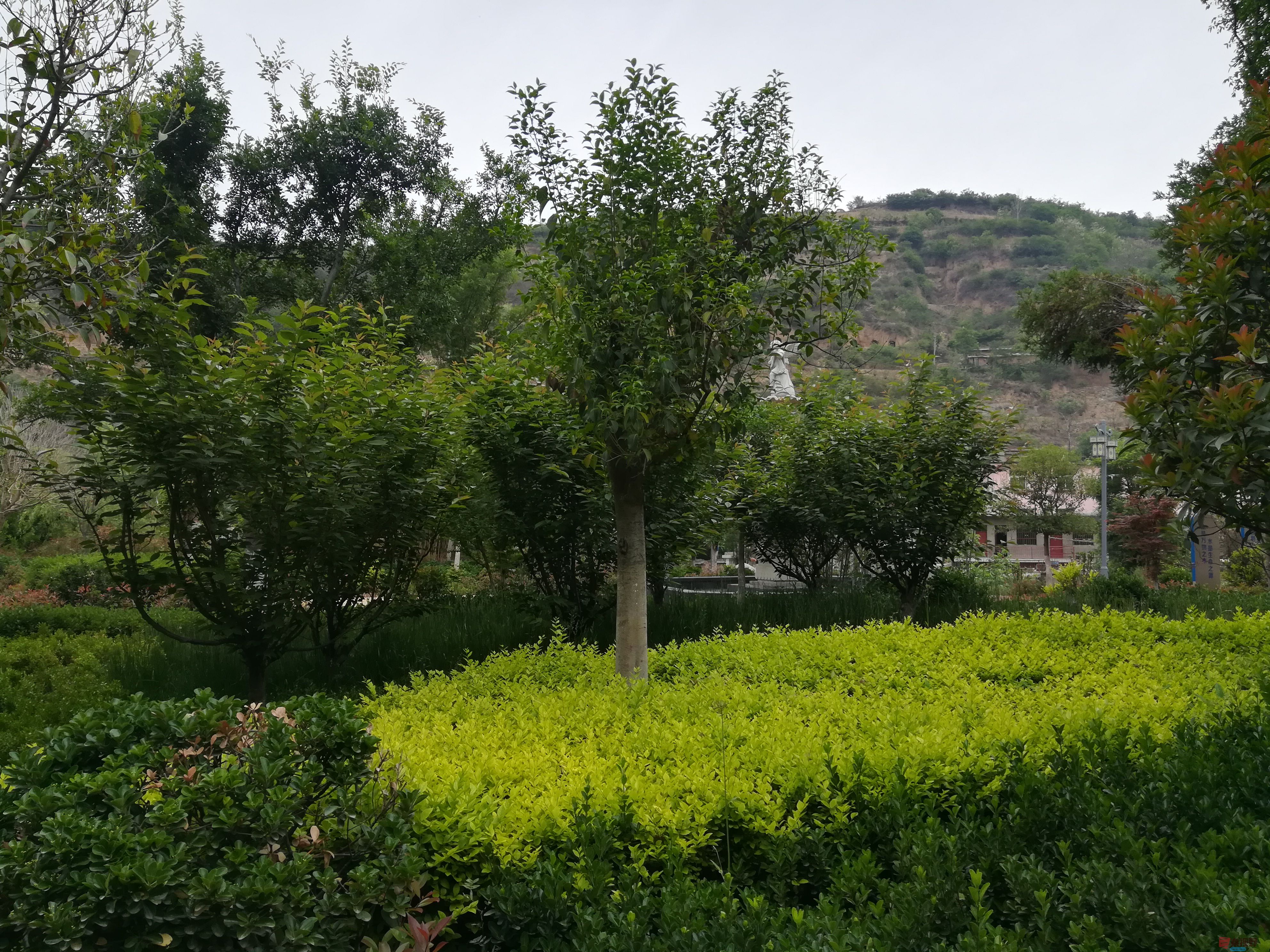 IMG_20190518_092707.jpg