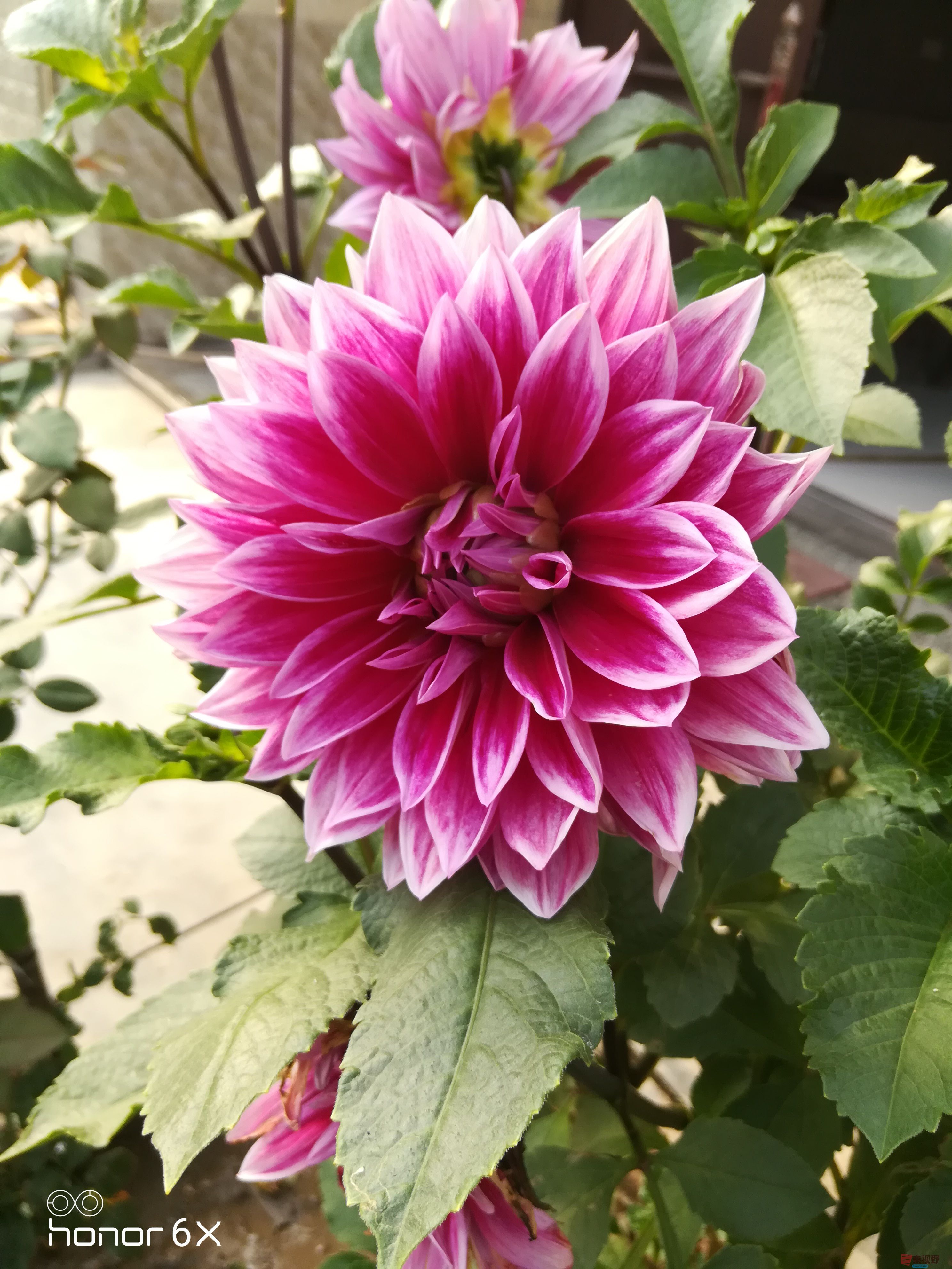 IMG_20190907_170907.jpg