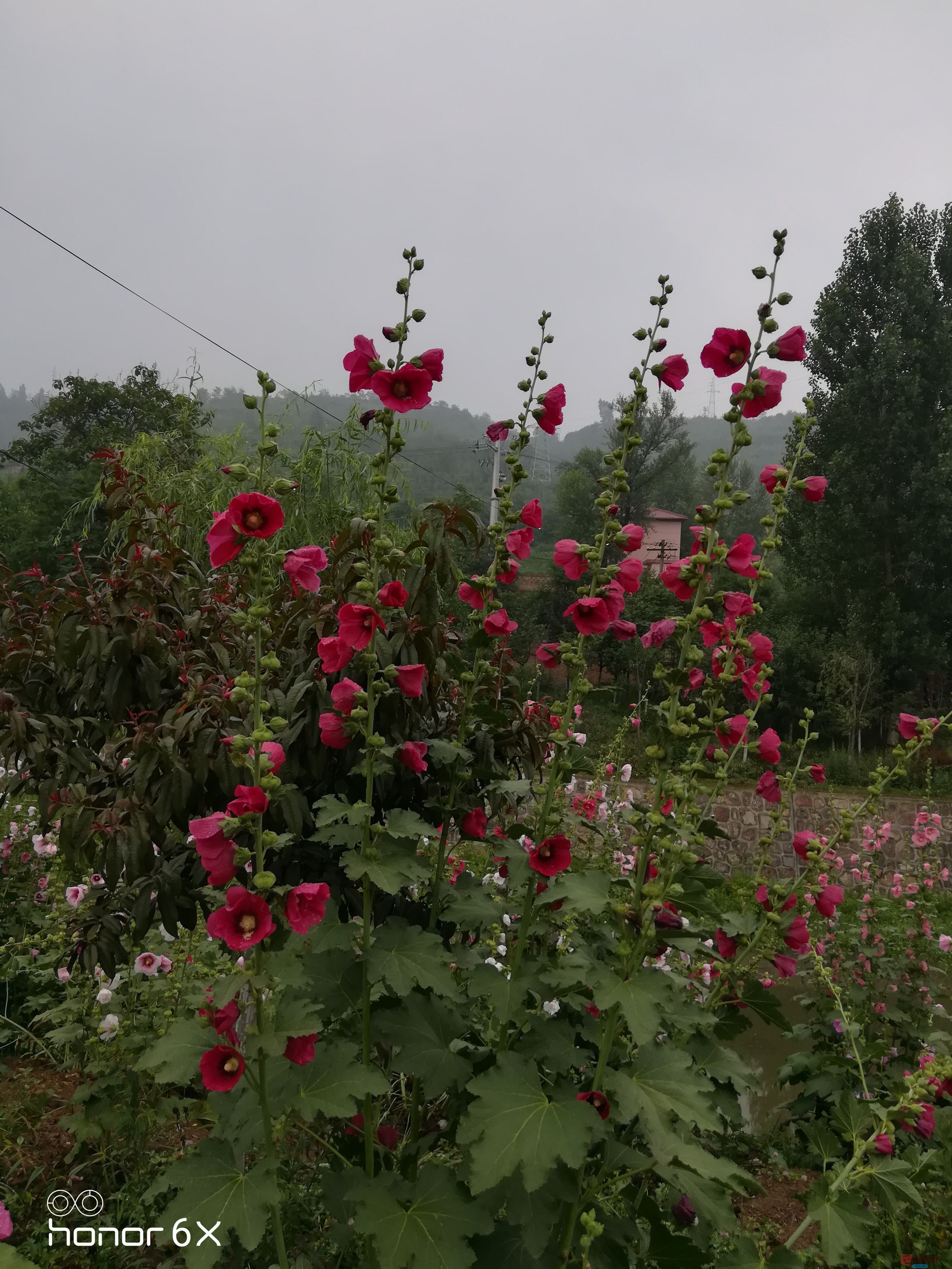 美丽的家乡铜川王家河