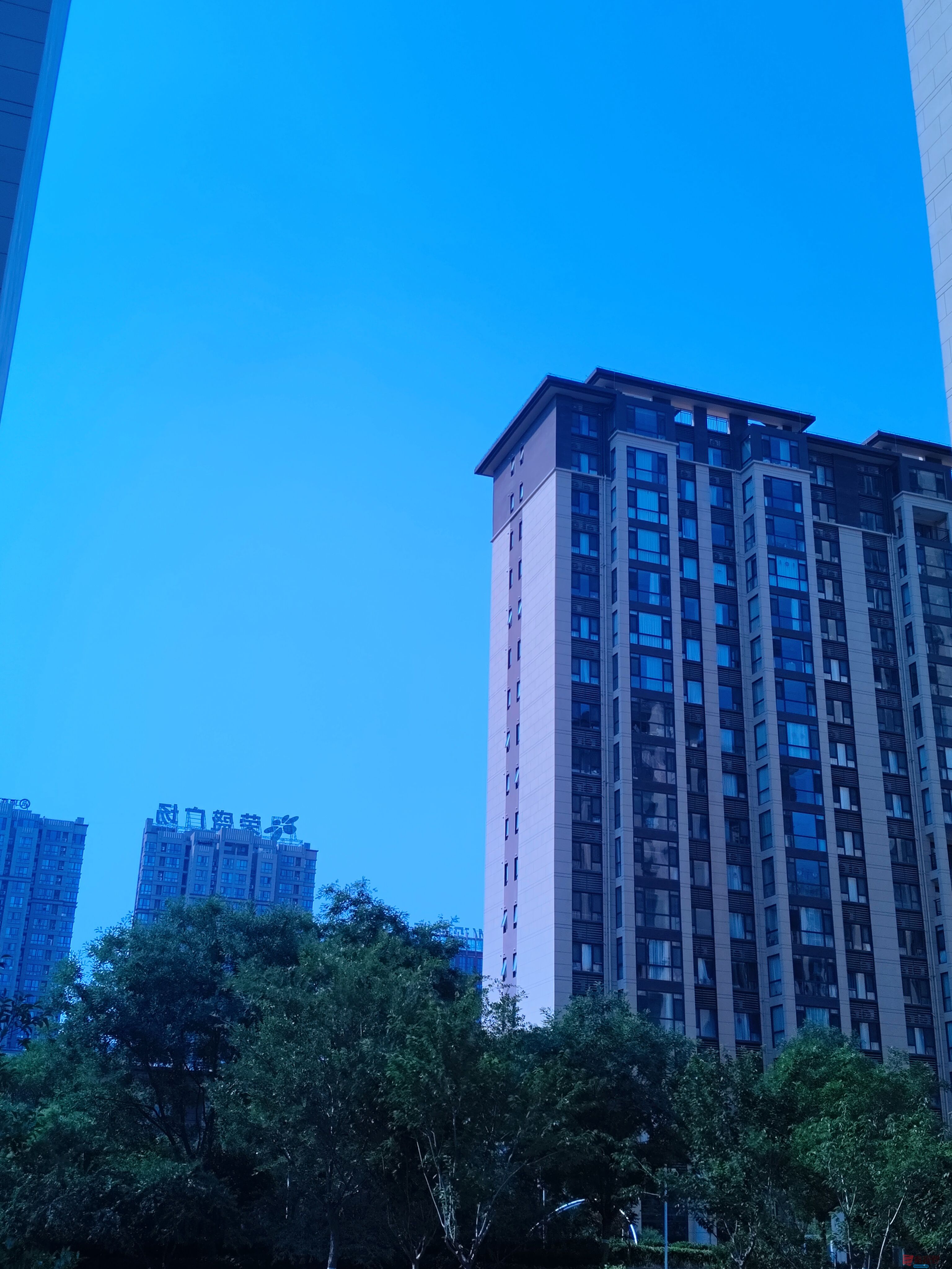 吕卫东_20250524170503 (8).jpg