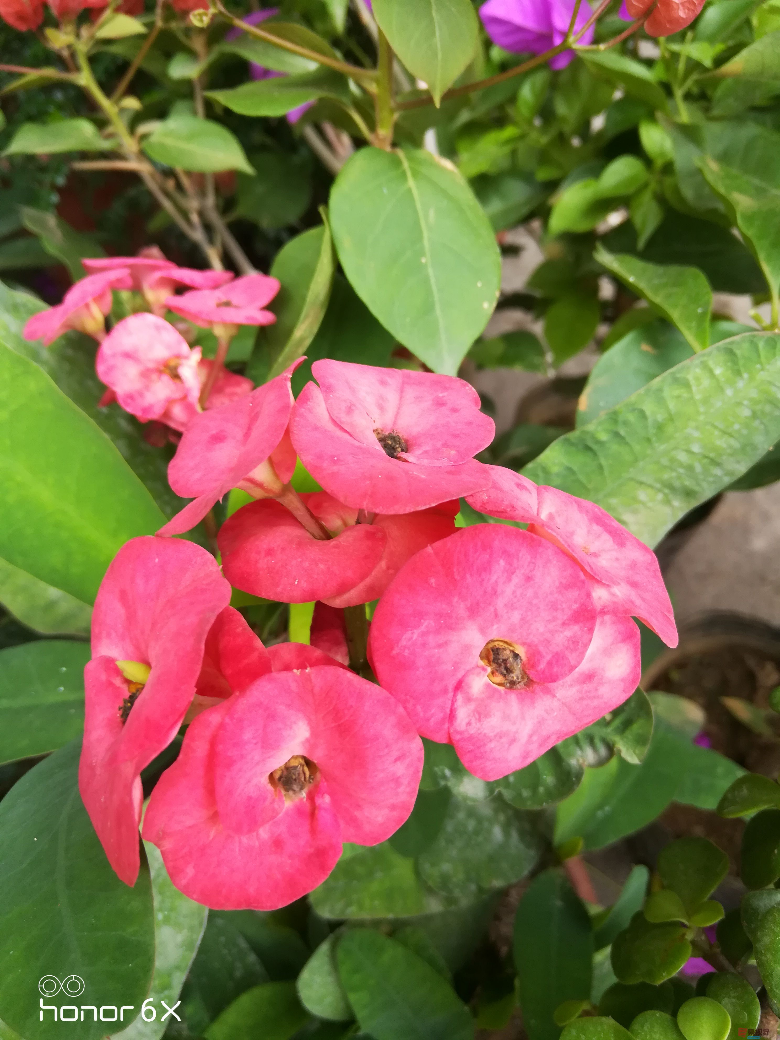 IMG_20190623_112602.jpg