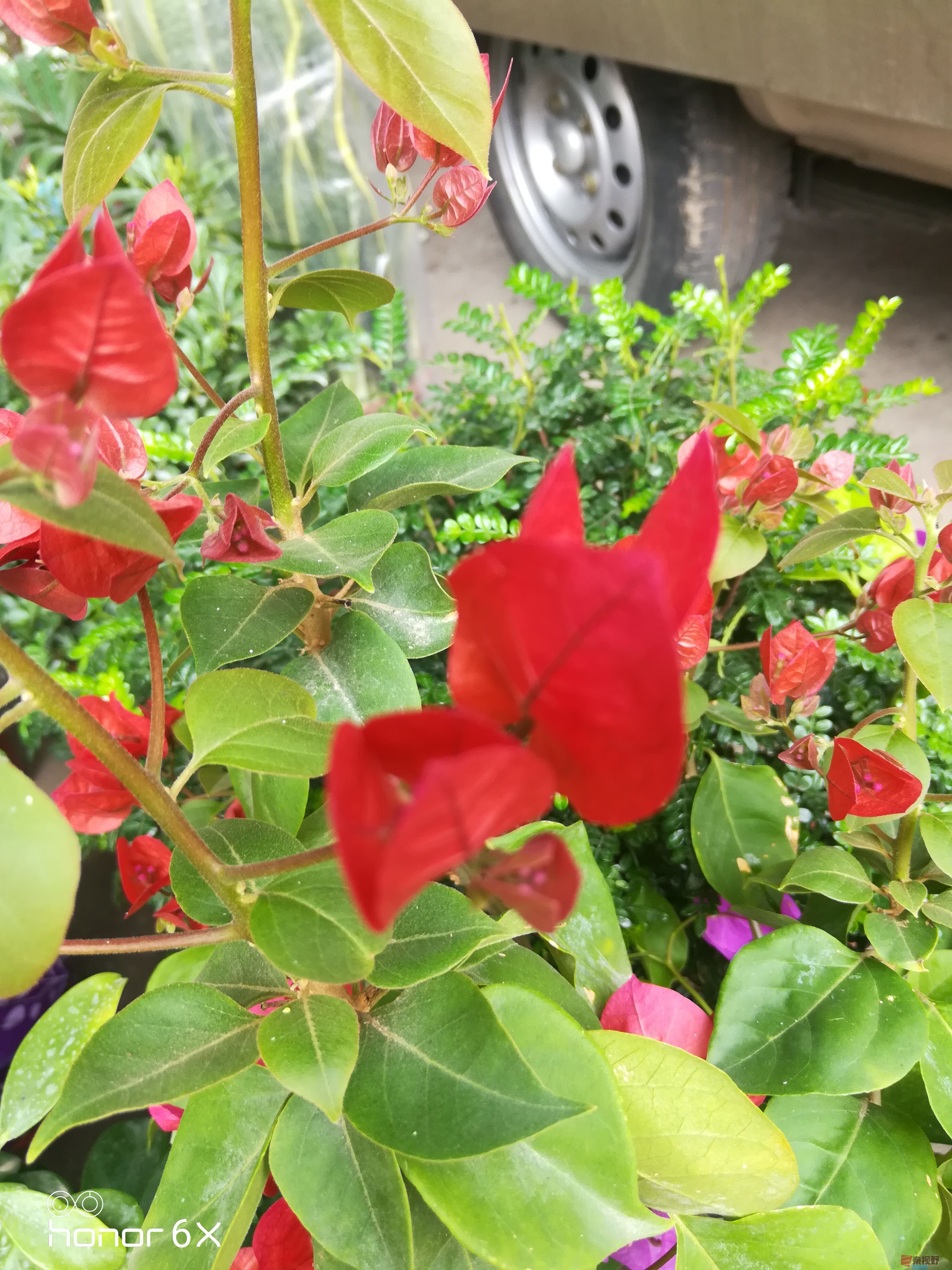 IMG_20190623_112623.jpg