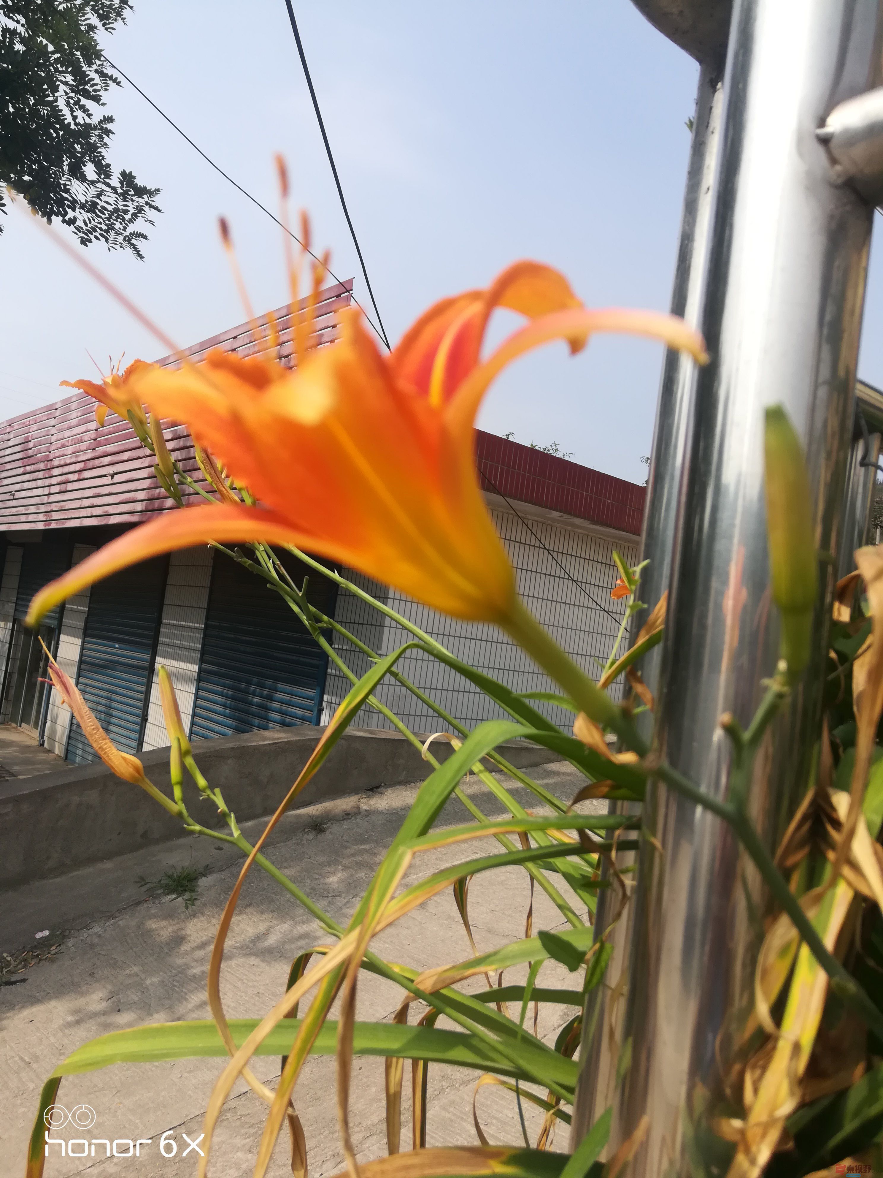 IMG_20190626_100235.jpg