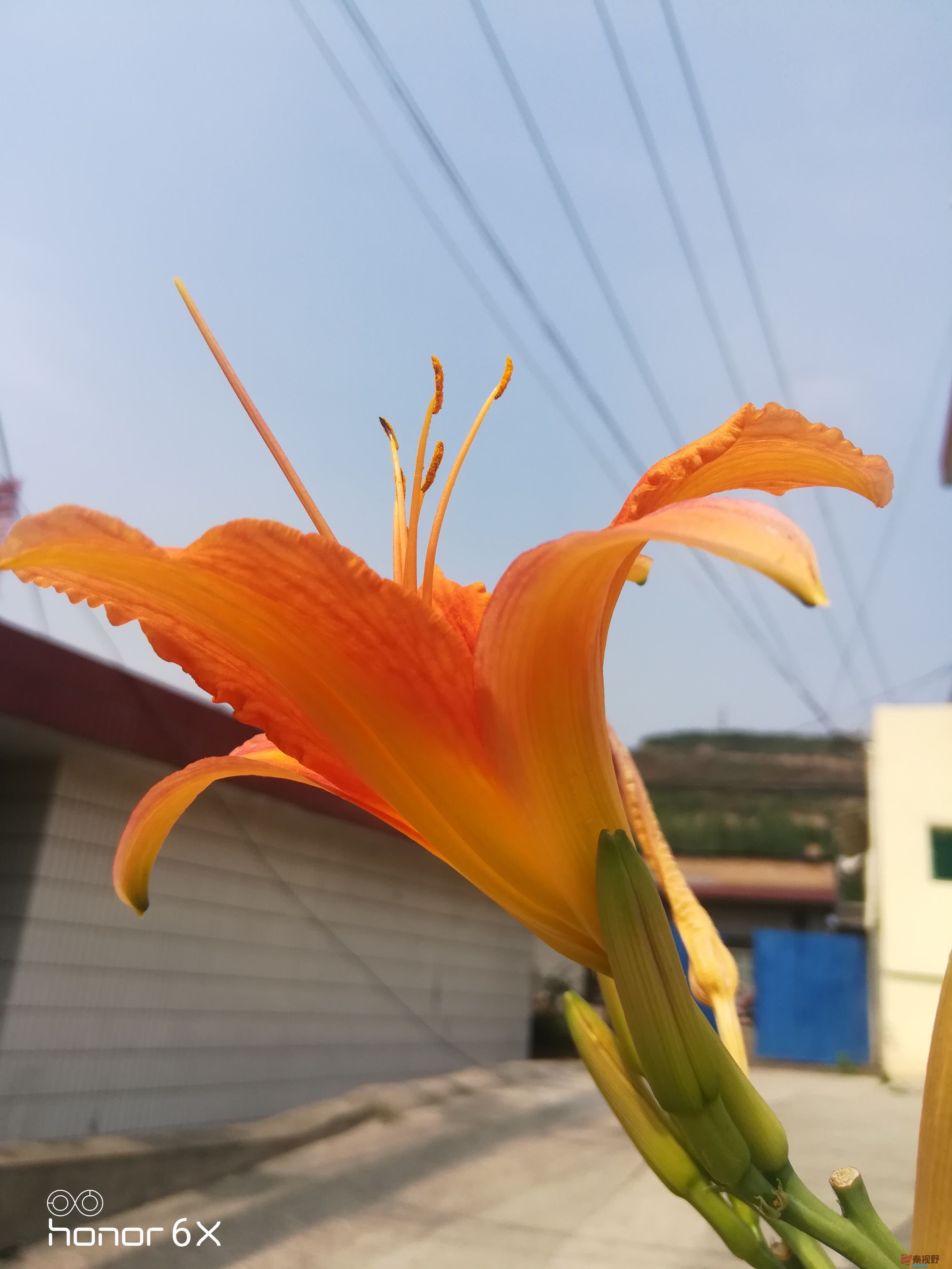 IMG_20190626_100243.jpg