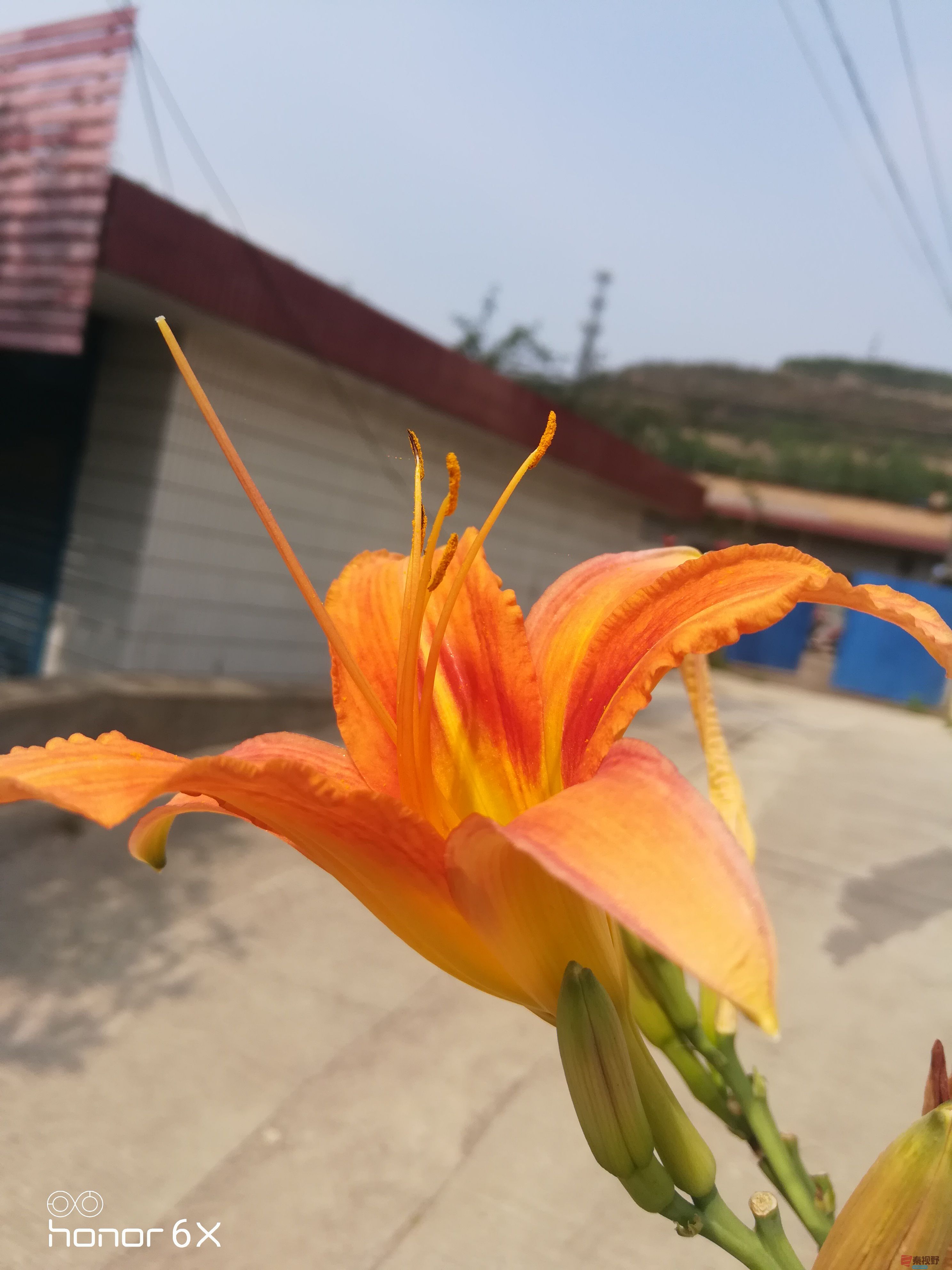 IMG_20190626_100248.jpg