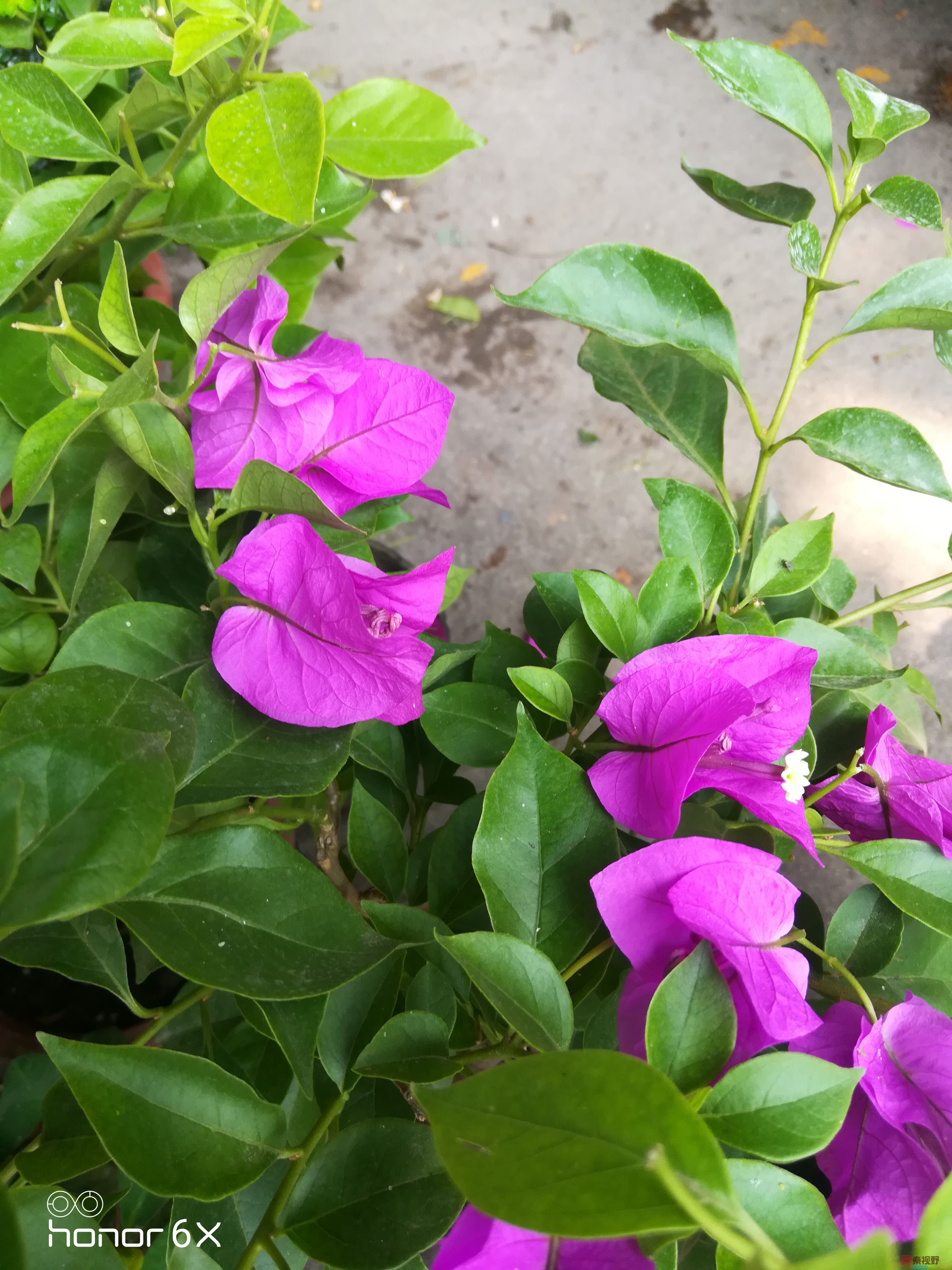 IMG_20190623_112810.jpg