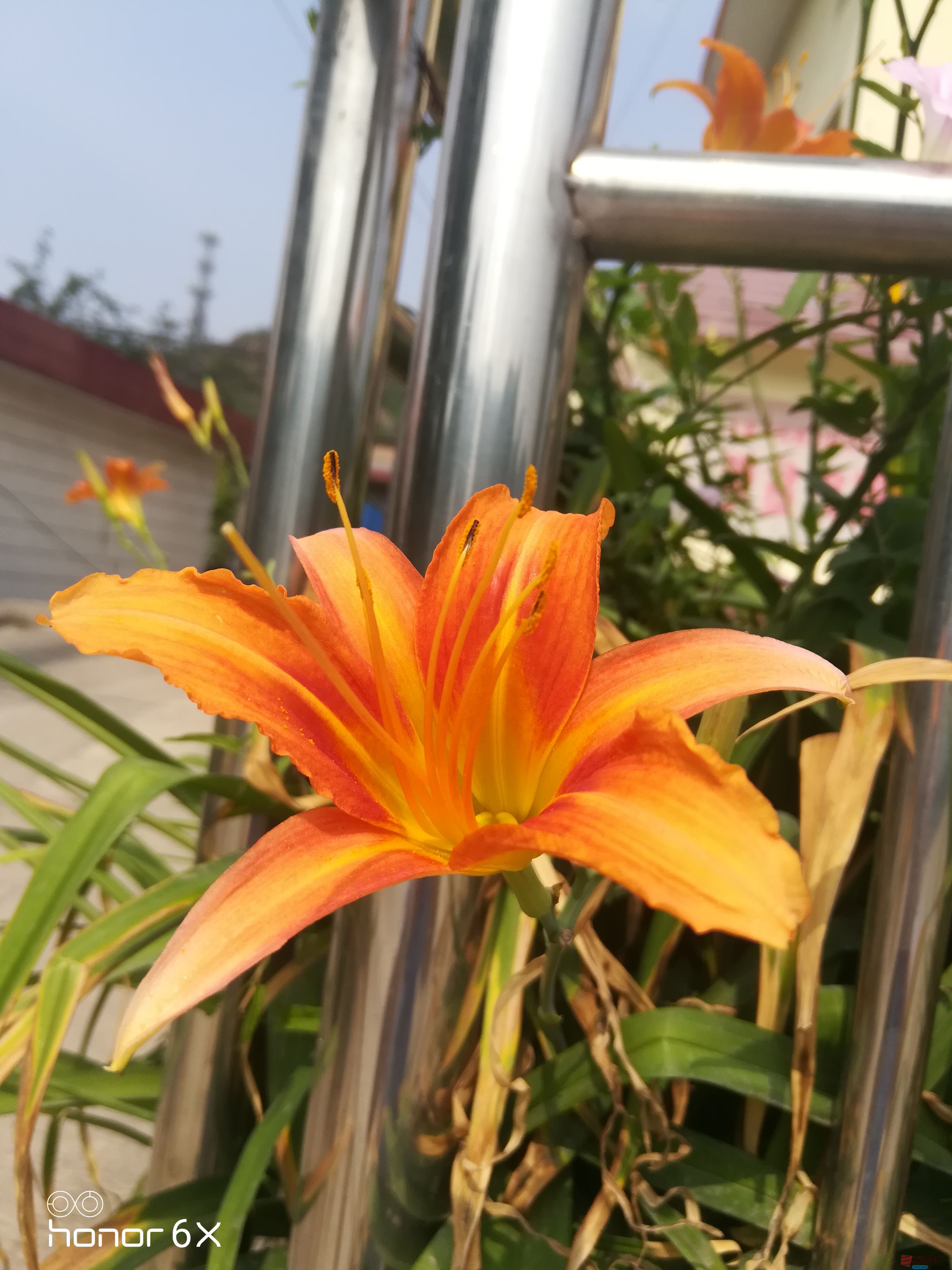 IMG_20190626_100228.jpg