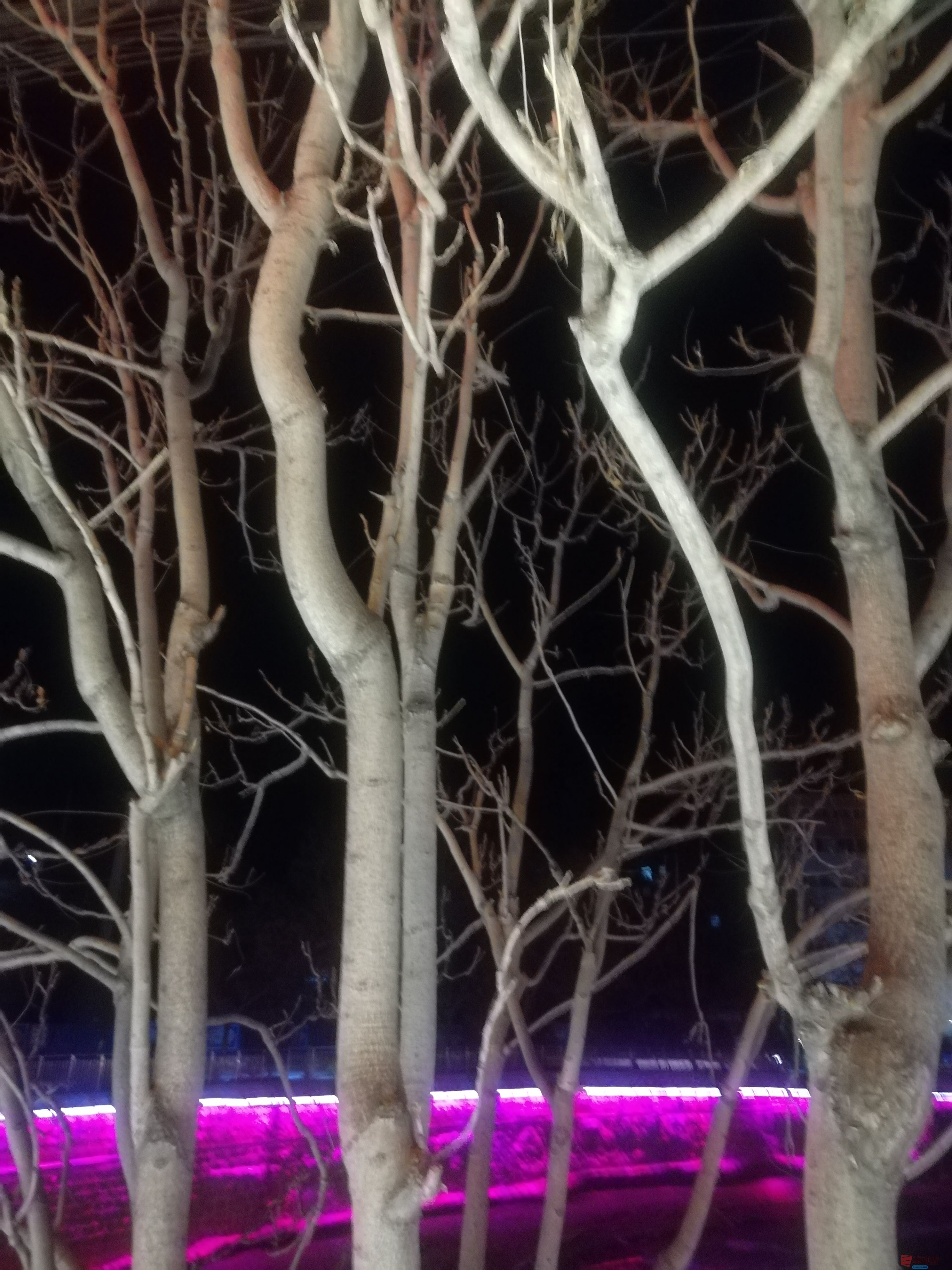 IMG_20190326_215033.jpg