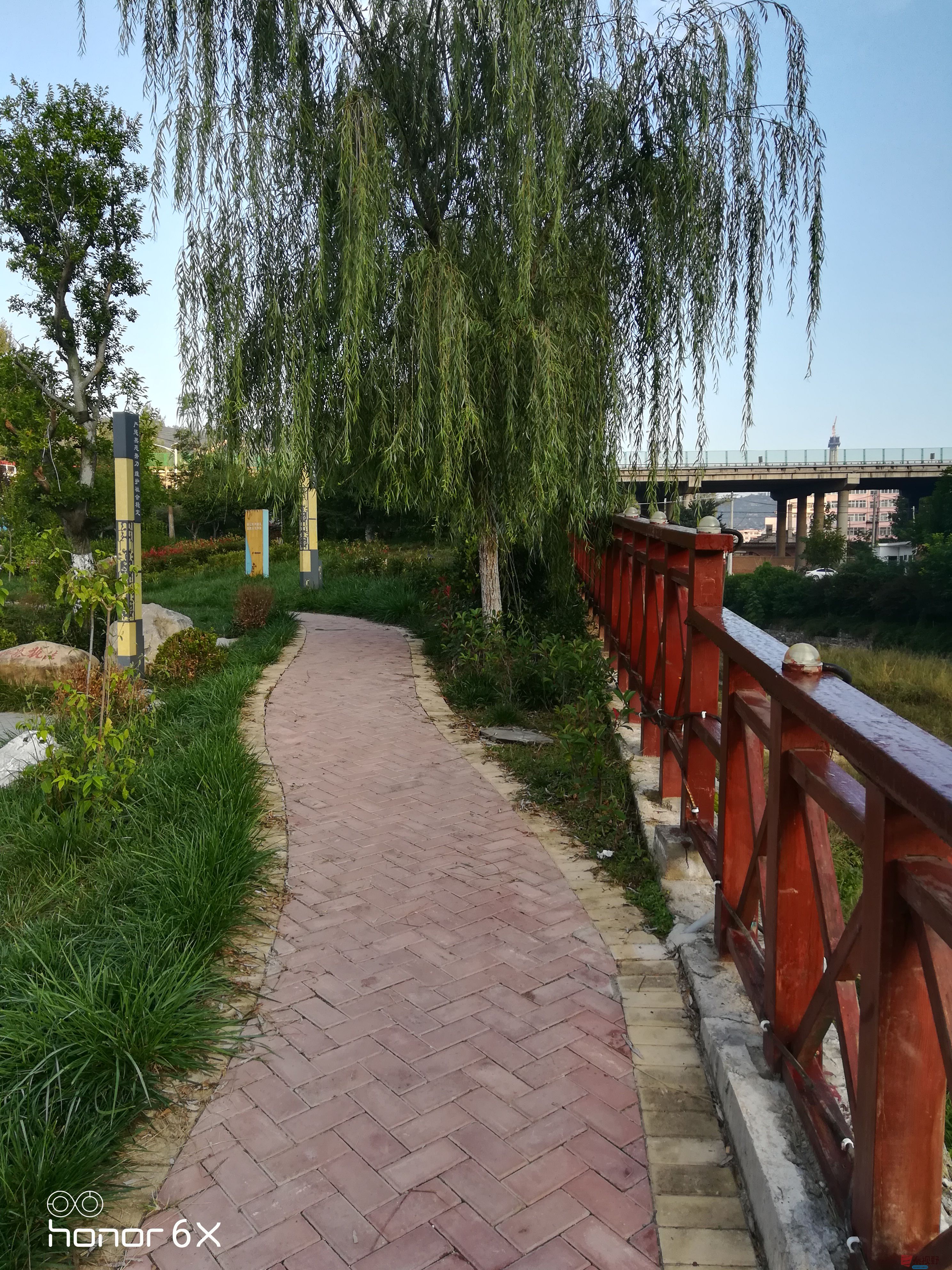 IMG_20190923_072838.jpg
