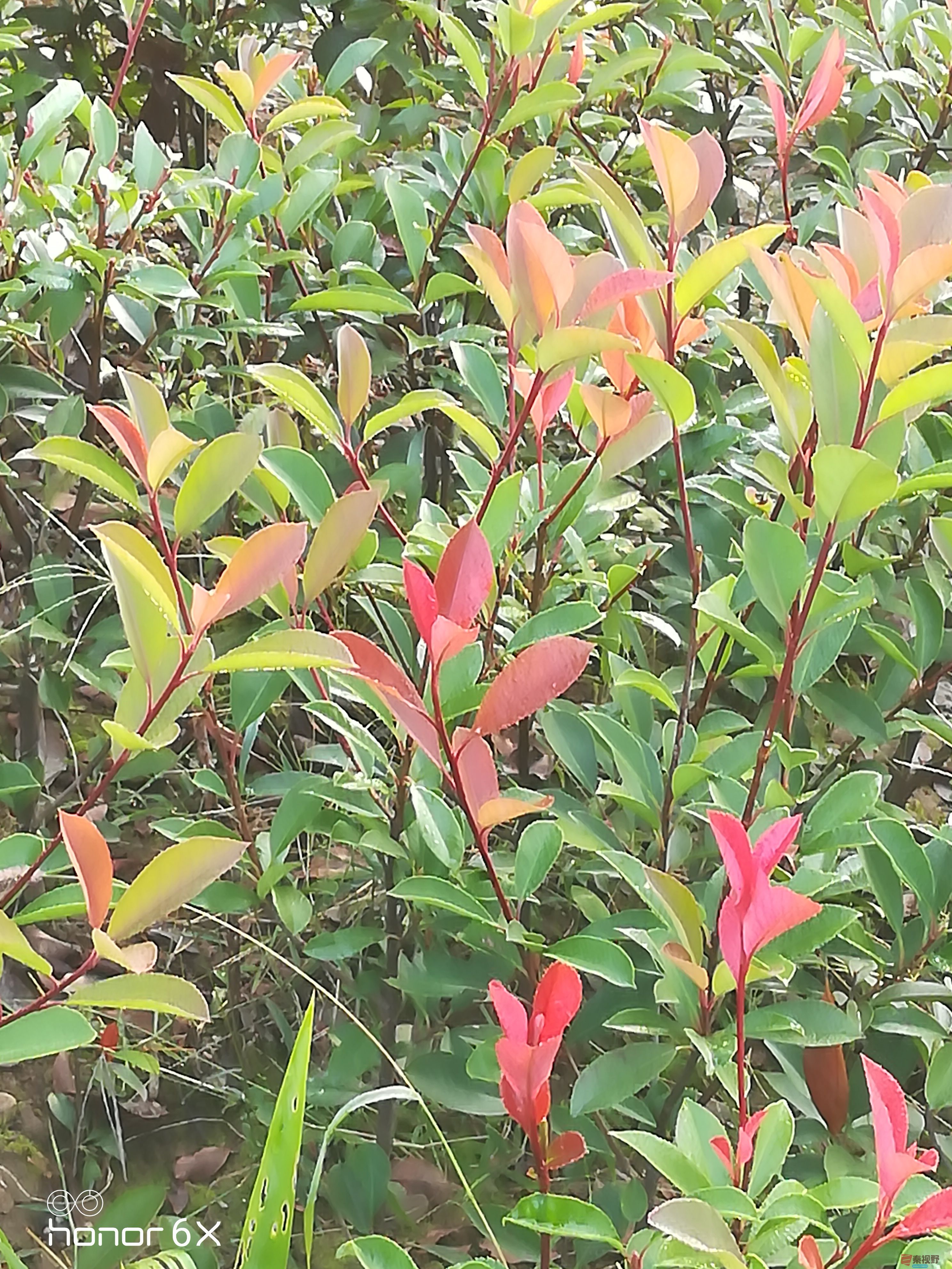 IMG_20190923_072924.jpg