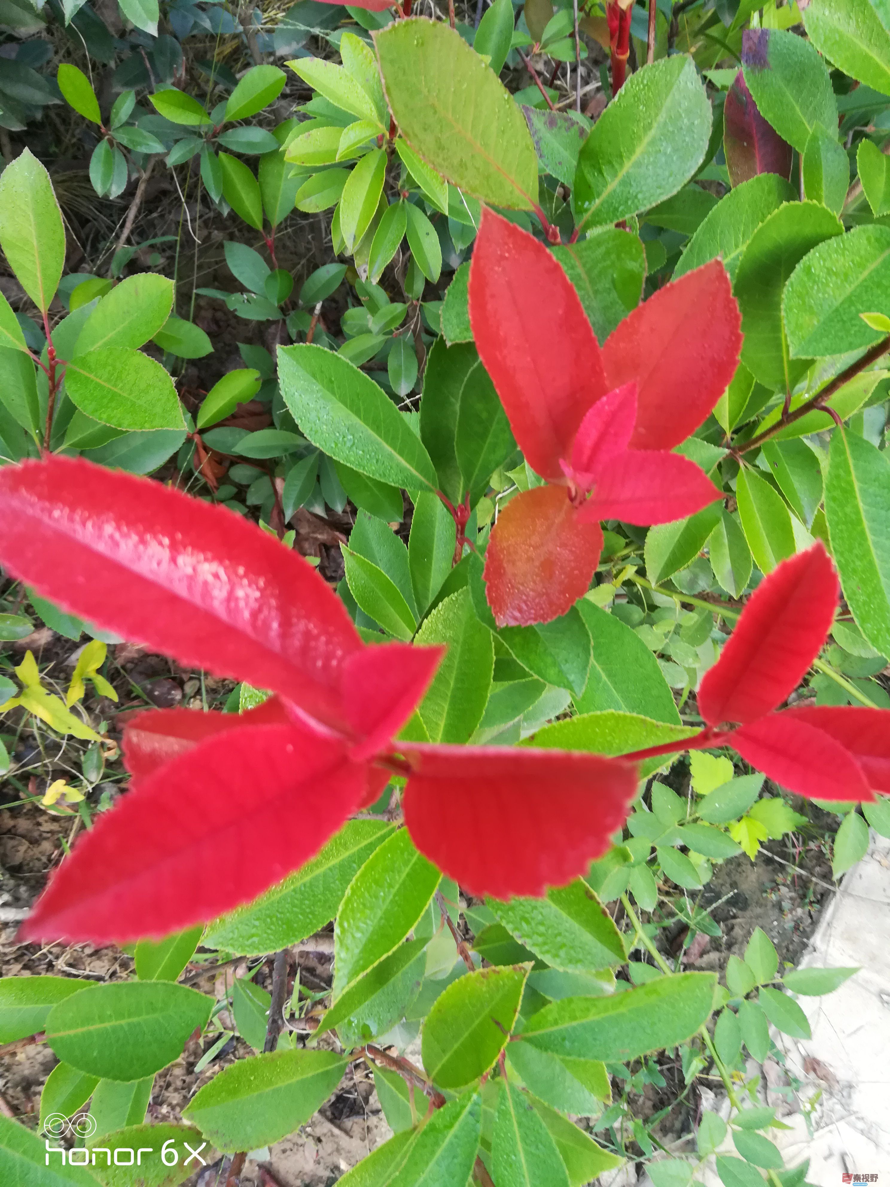 IMG_20190923_073039.jpg