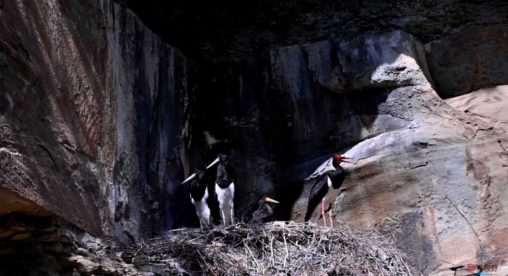 张高翔_20250525232539 (3).jpg