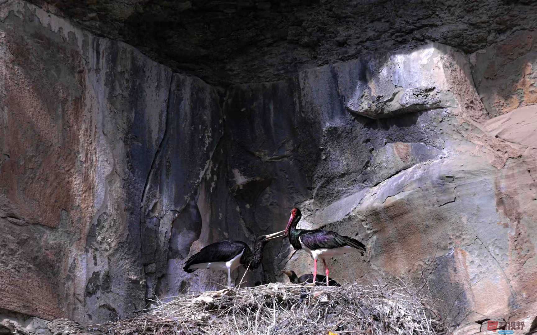 张高翔_20250525232539 (2).jpg