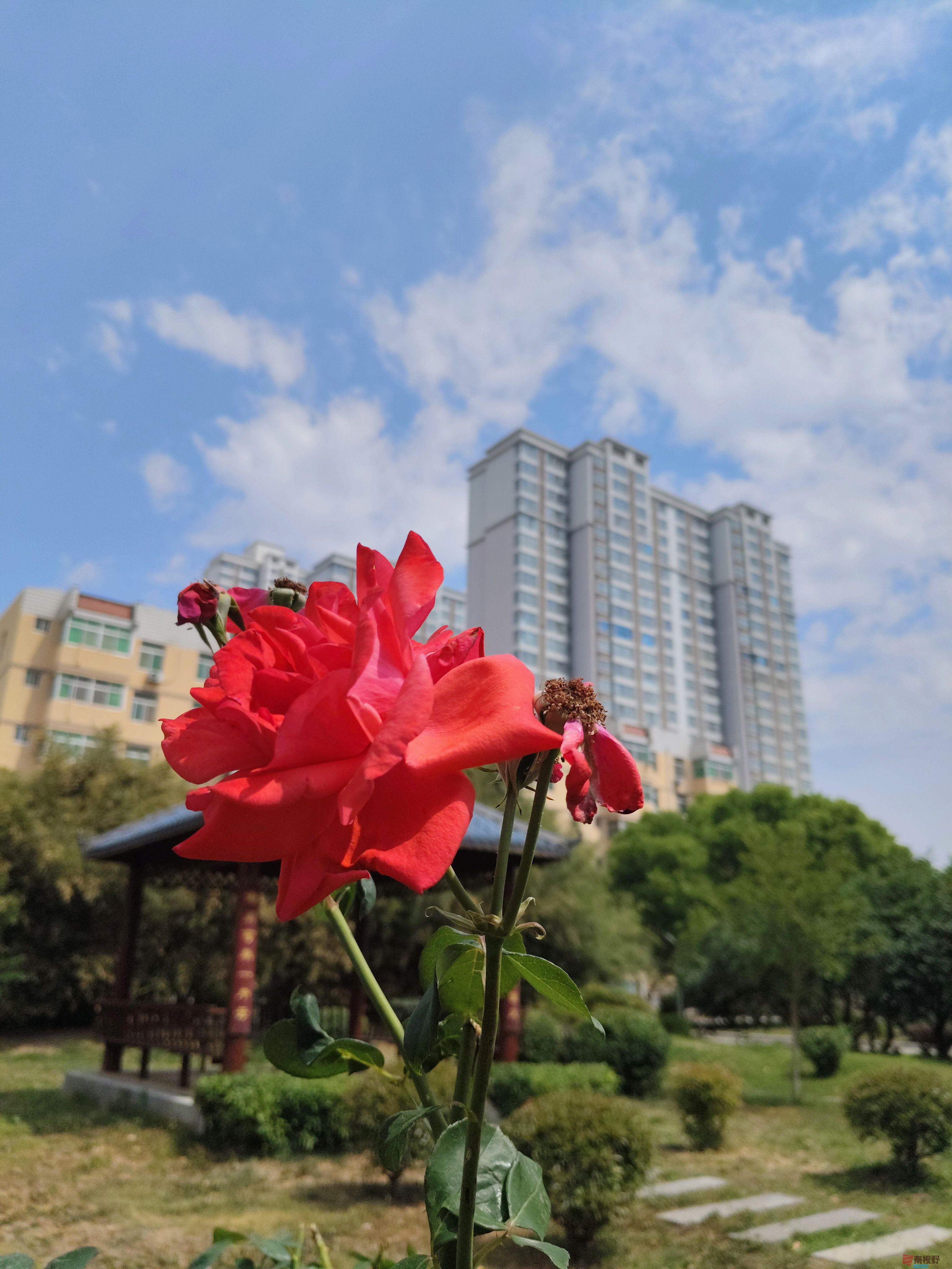 微信图片_20250526155511.jpg