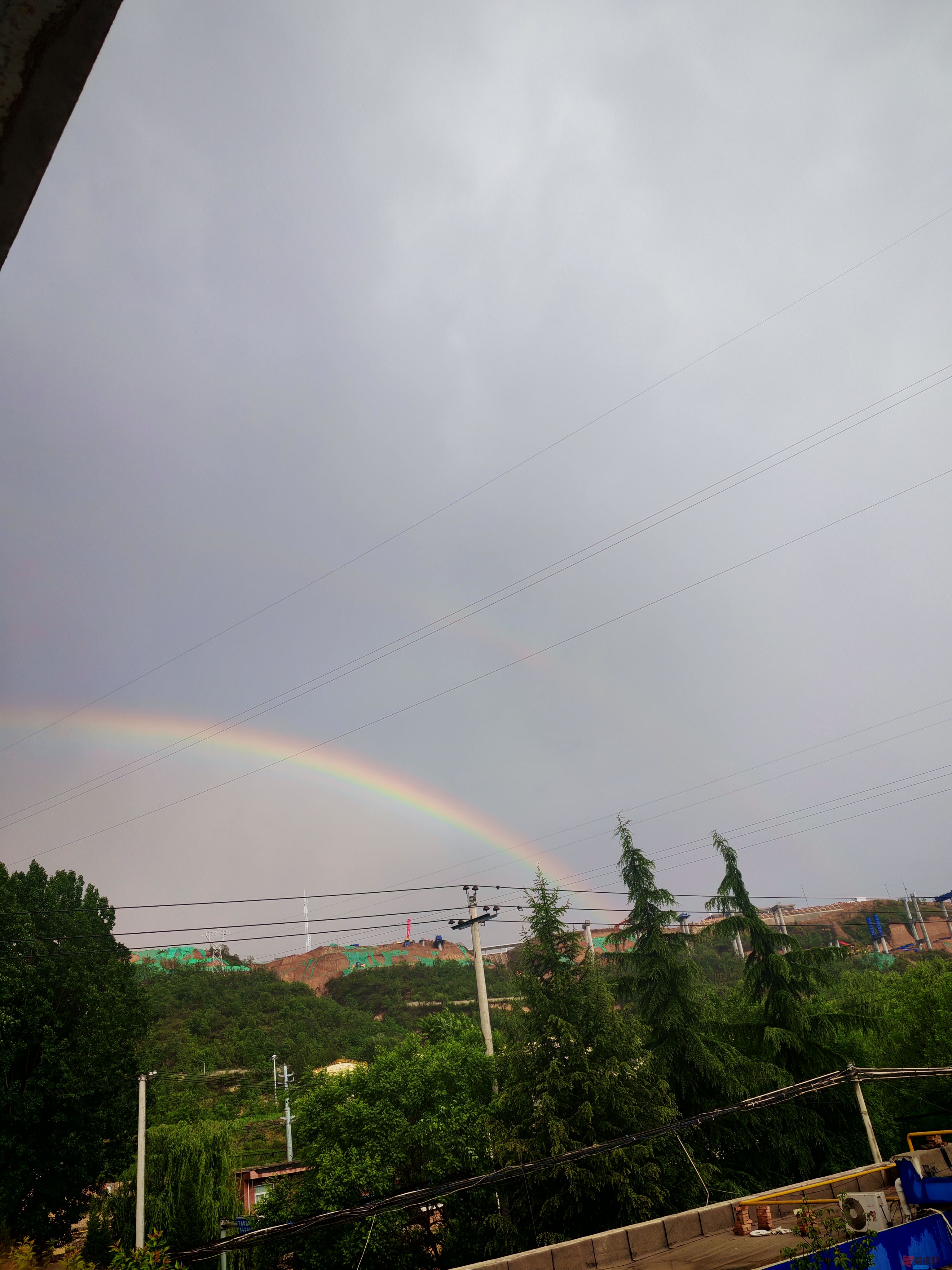 IMG_20250525_180749.jpg