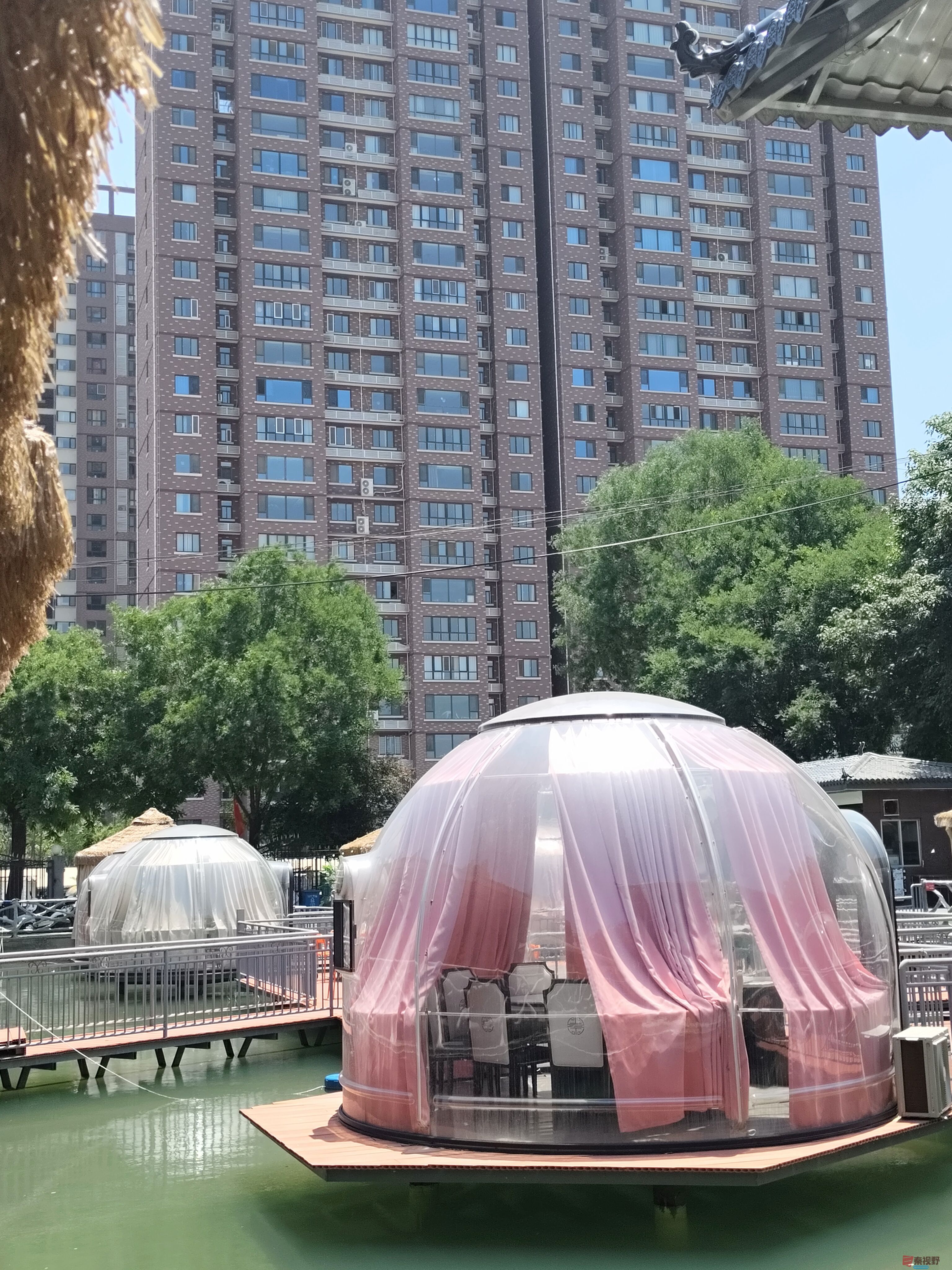 吕卫东_20250528144942 (1).jpg