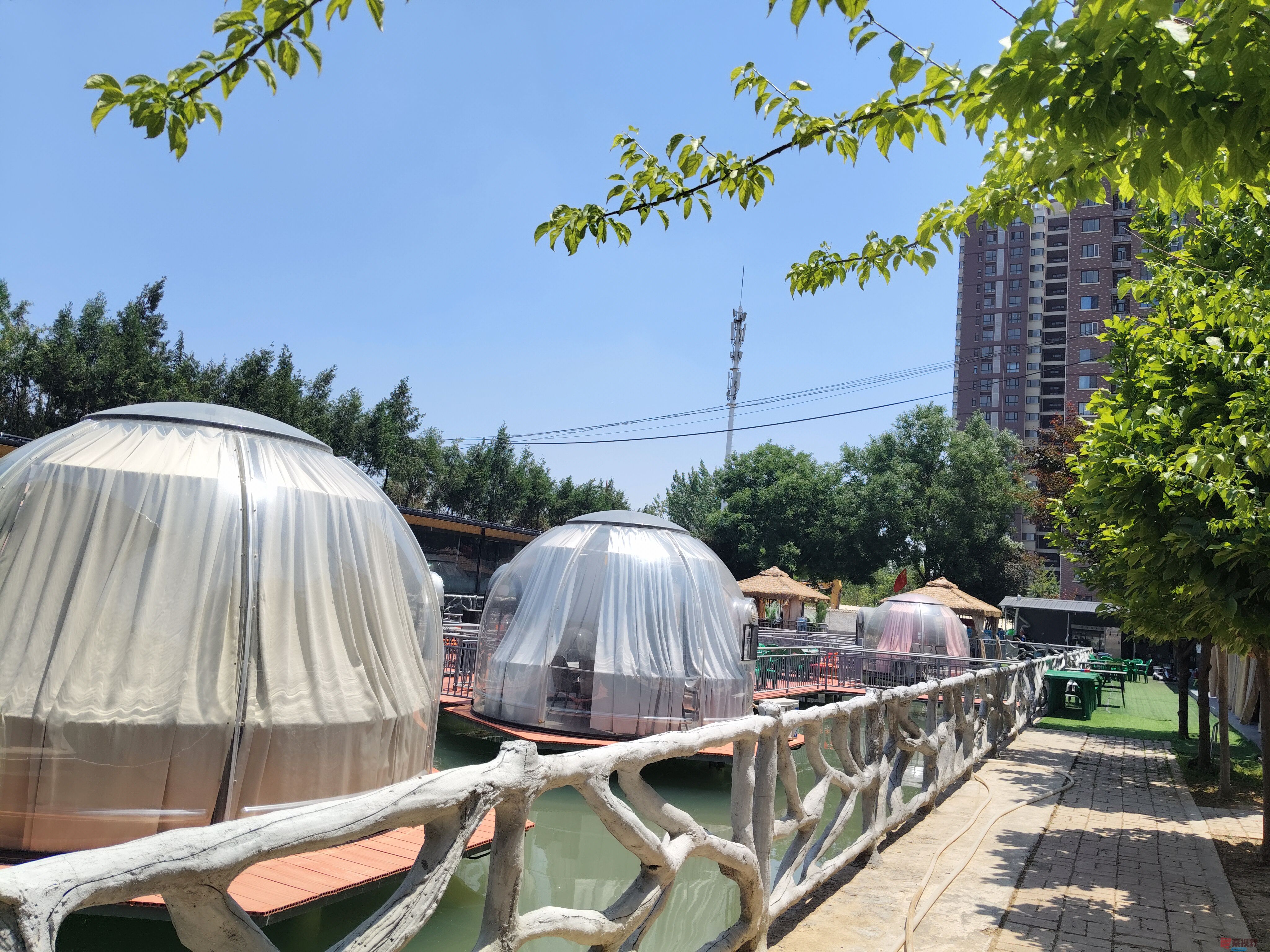 吕卫东_20250528144942 (3).jpg