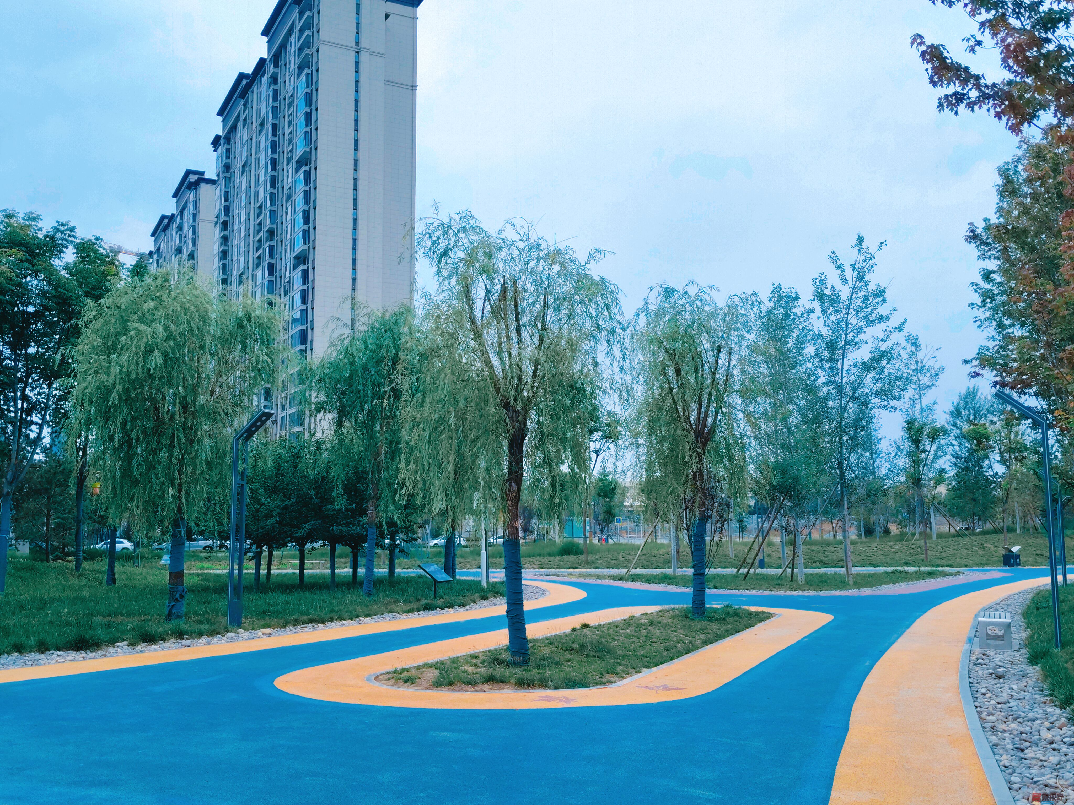 吕卫东_20250530144140 (8).jpg