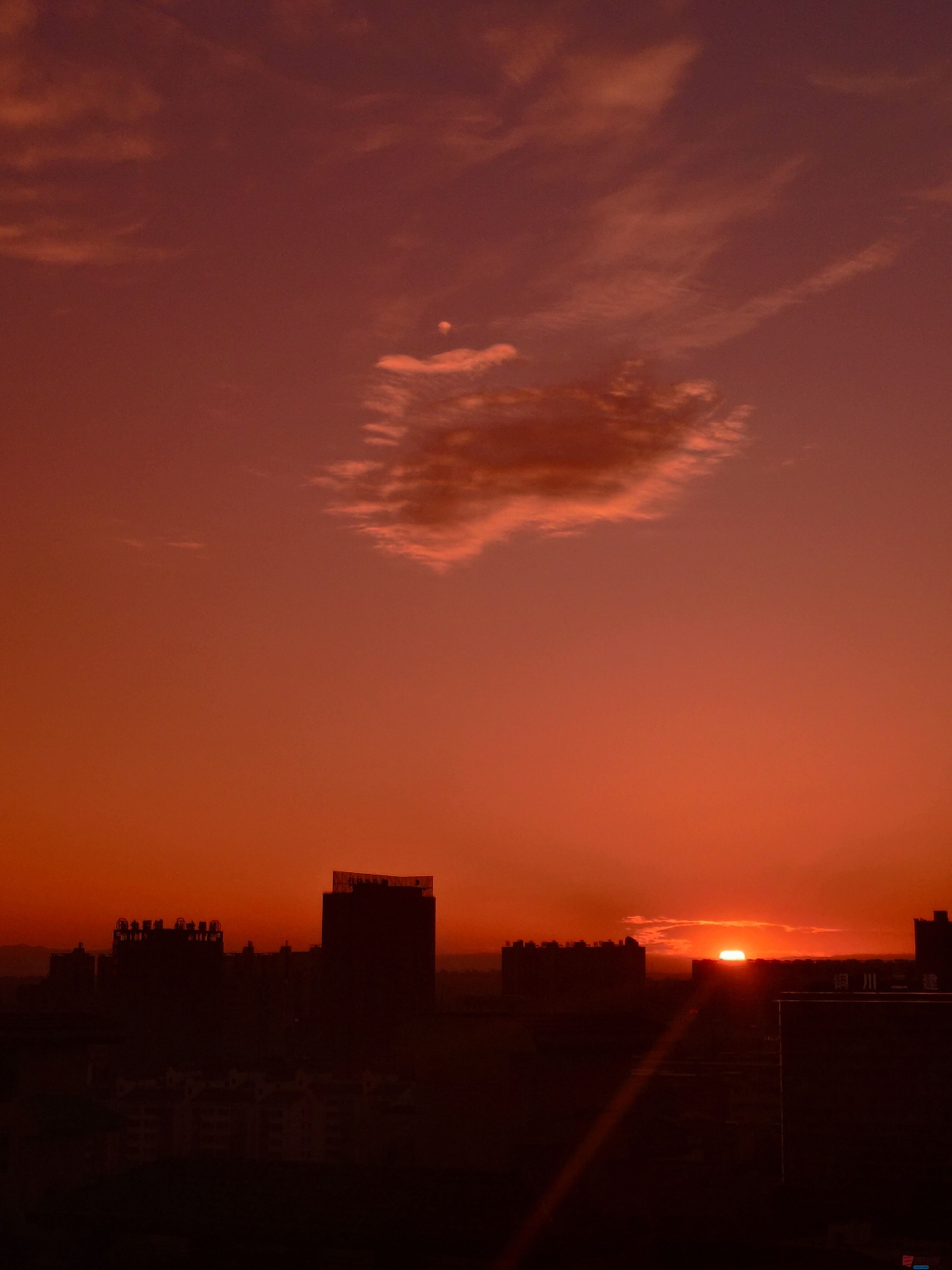 吕卫东_20250604210140 (6).jpg