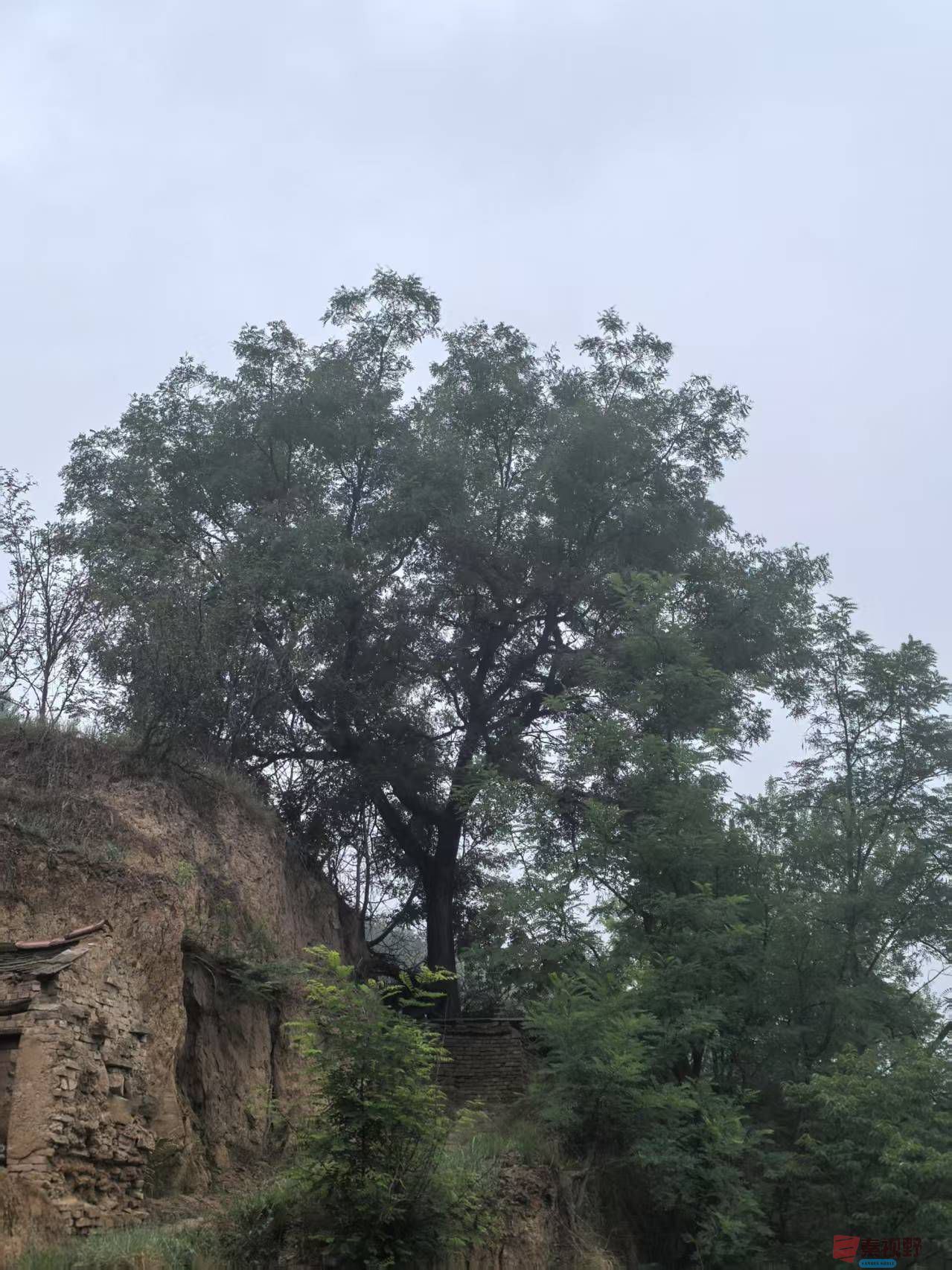 微信图片_20250605111221.jpg