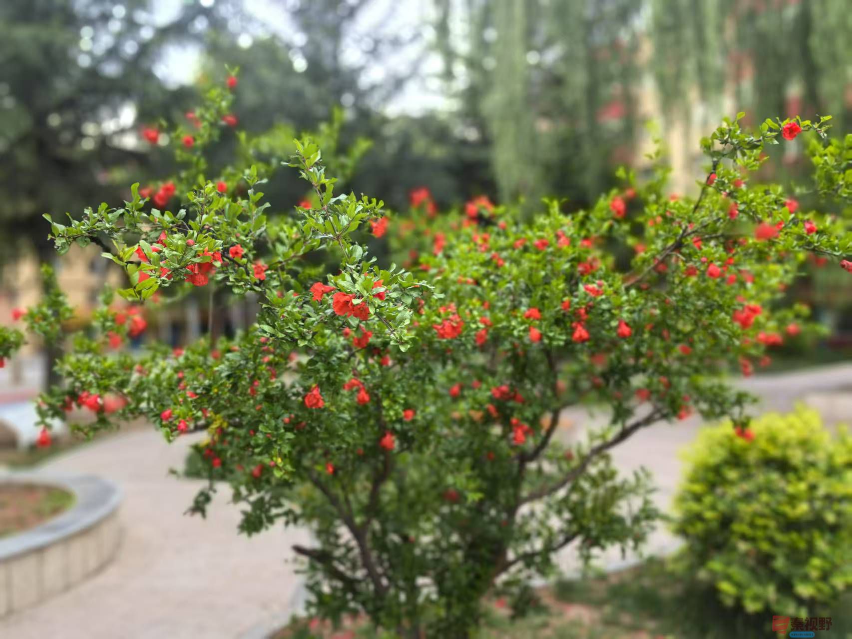 微信图片_20250605111206.jpg