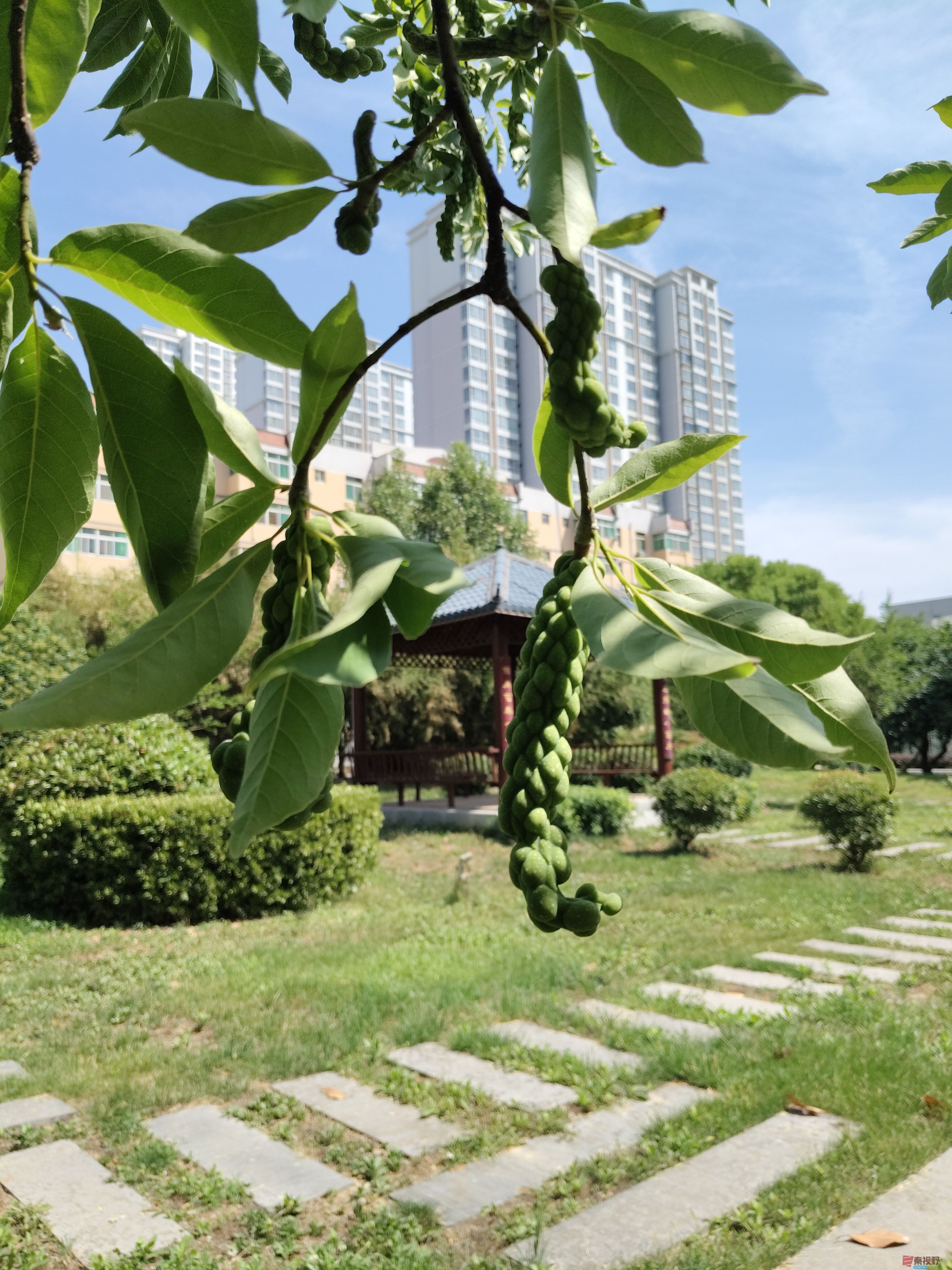 吕卫东_20250609111547 (4).jpg