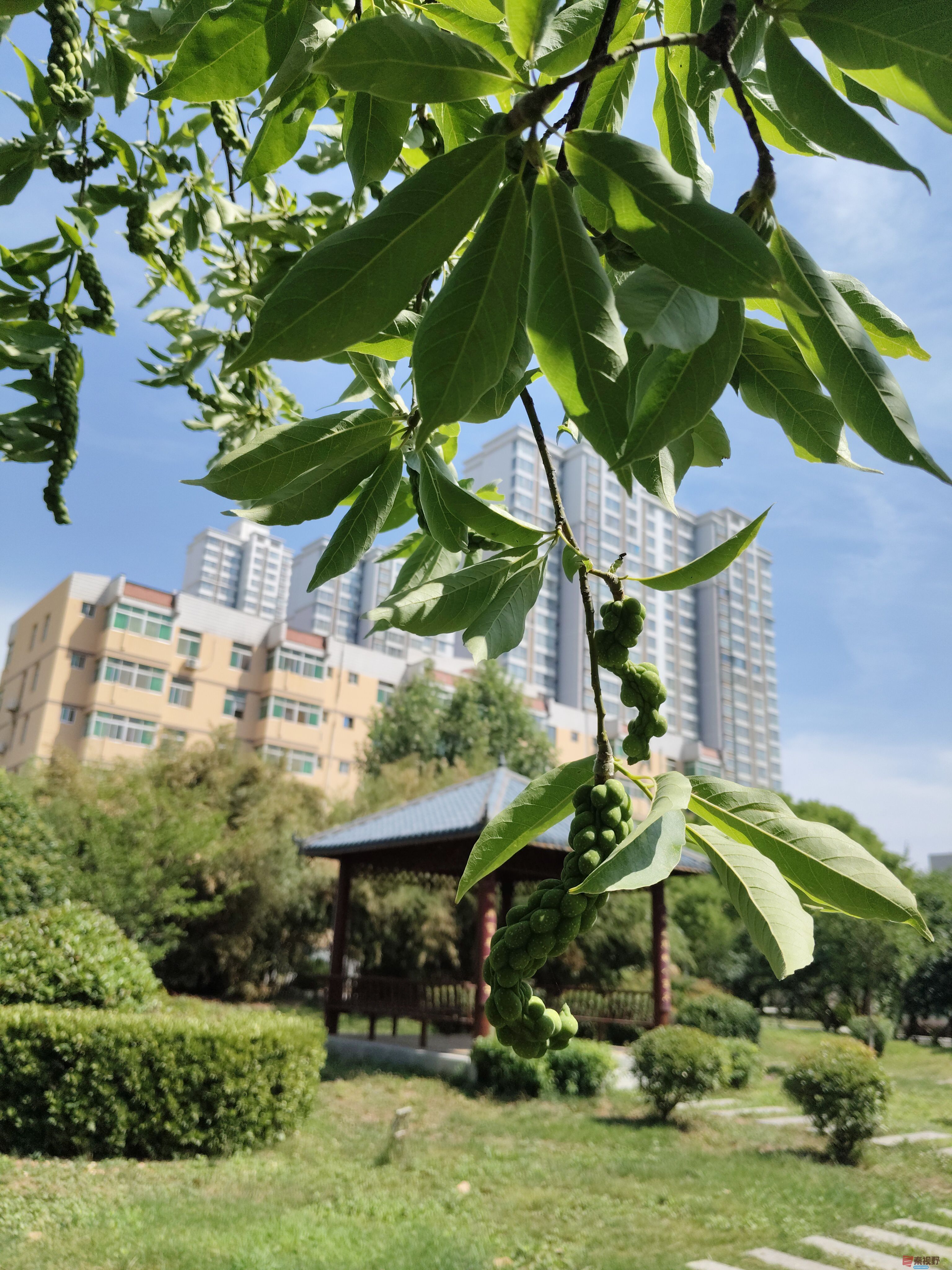 吕卫东_20250609111547 (7).jpg