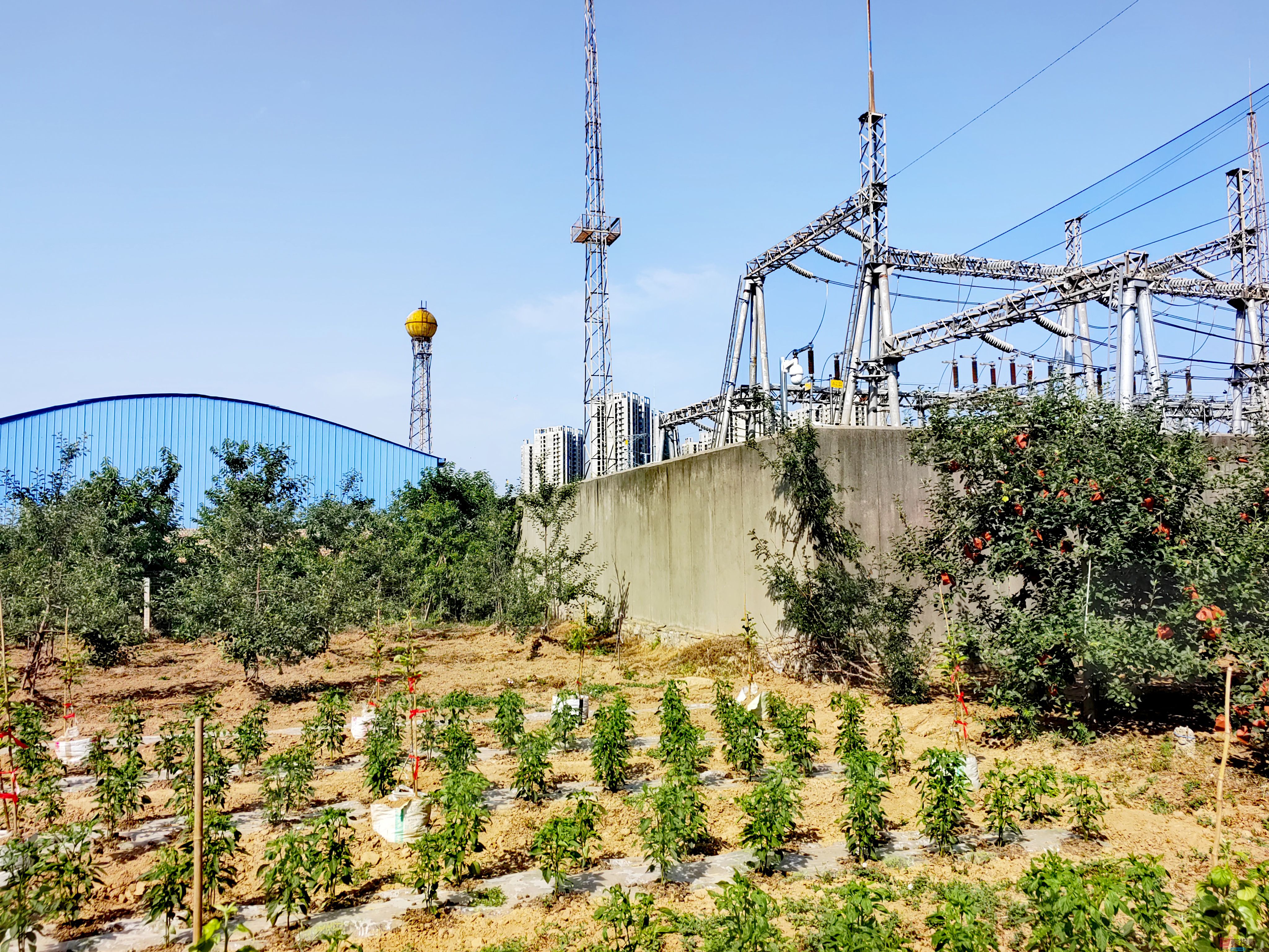 刘孝文_20250611095237 (5).jpg