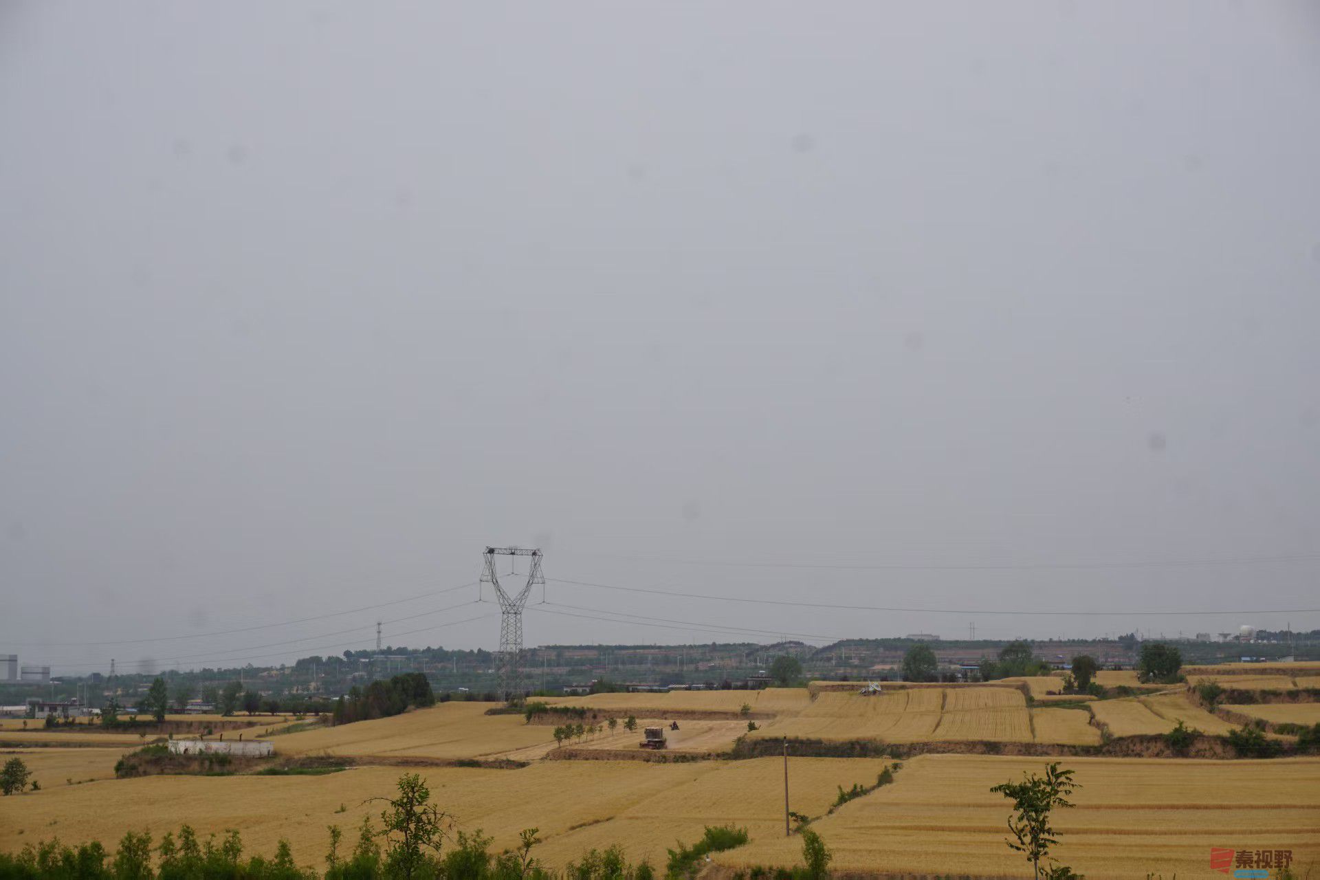 mmexport1748317843015.jpg