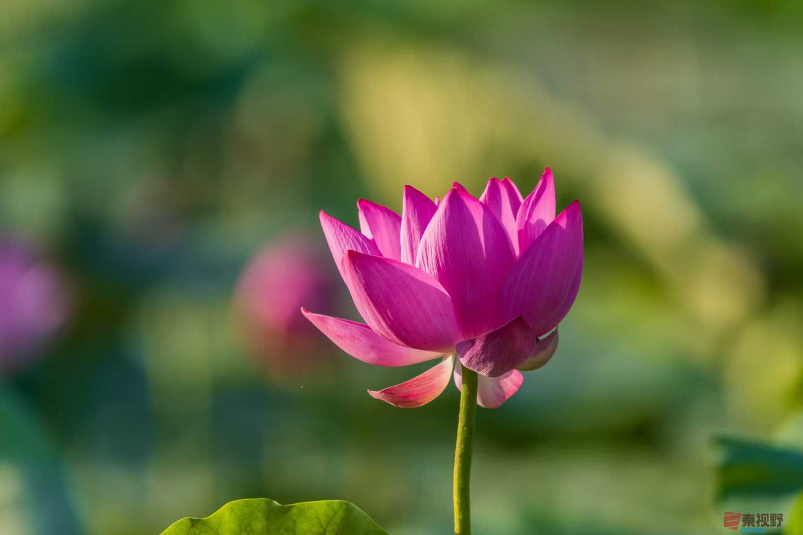 袁小保_20250616001819 (18).jpg