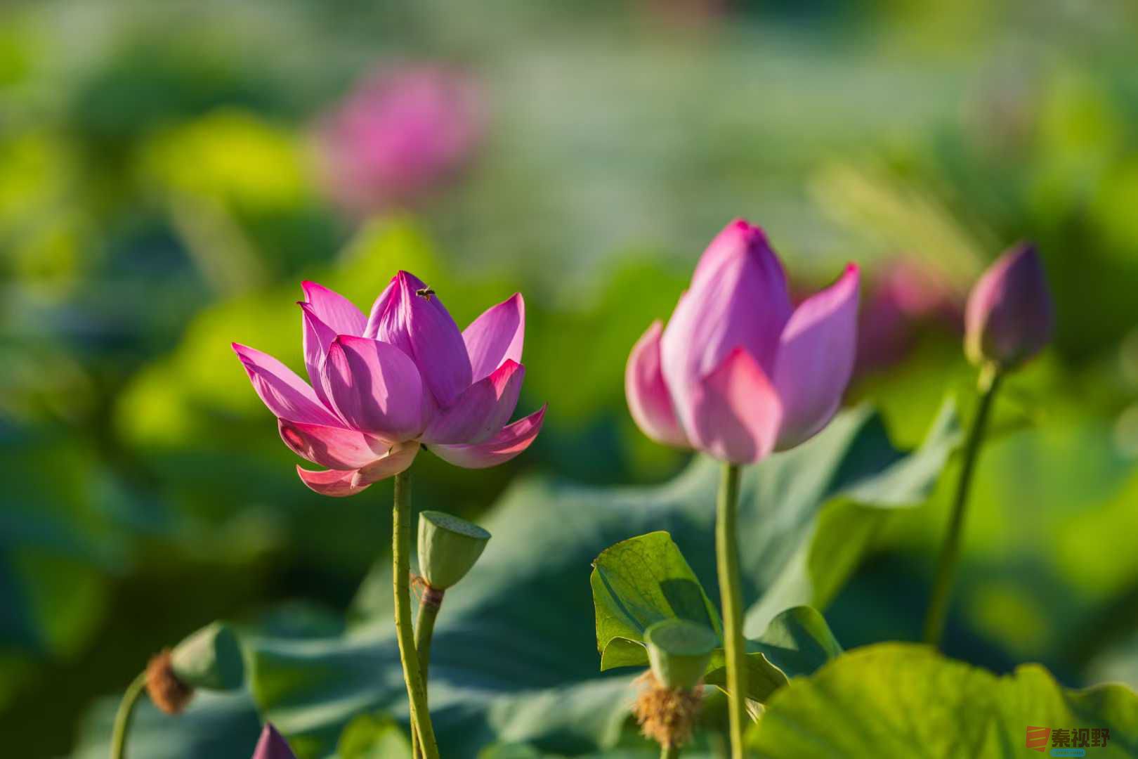 袁小保_20250616001819 (17).jpg
