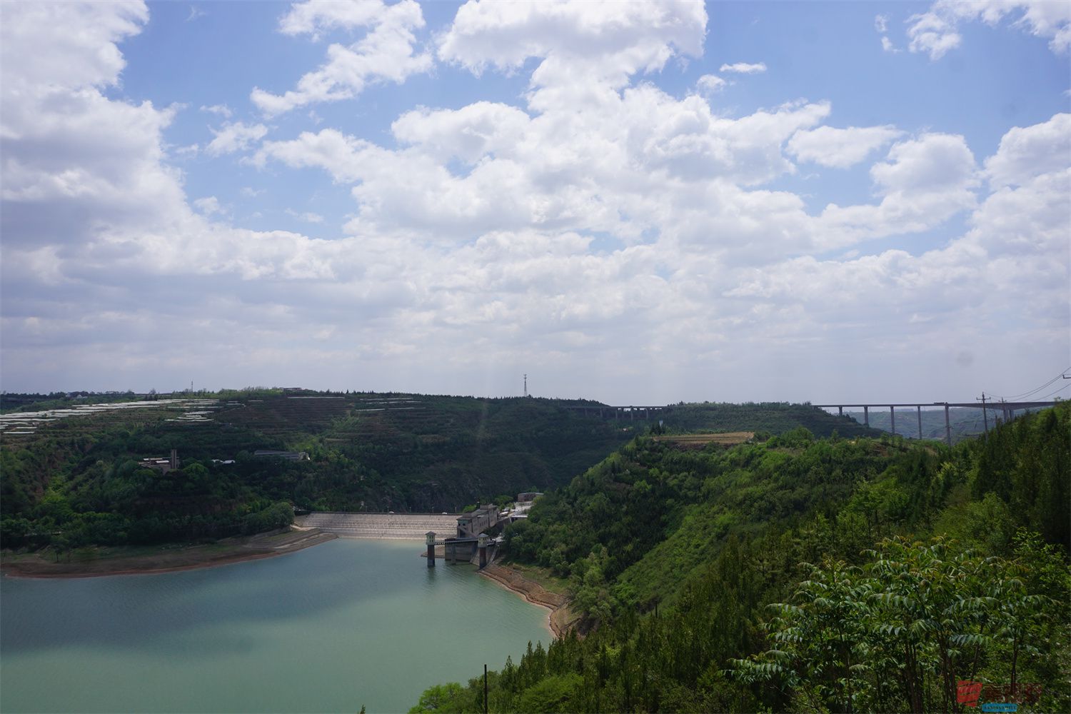孙宏伟_20250618201055 (7).jpg