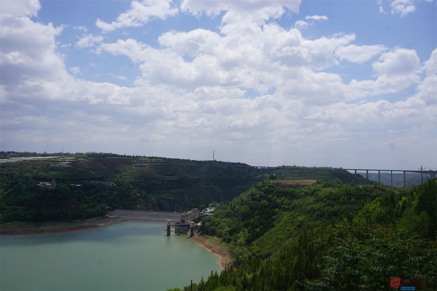 孙宏伟_20250618201055 (8).jpg