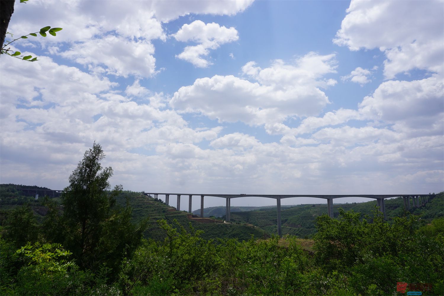 孙宏伟_20250618201055 (10).jpg