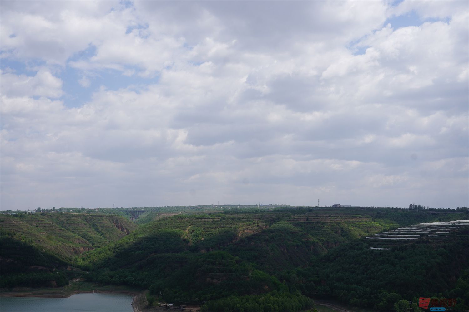 孙宏伟_20250618201055 (11).jpg