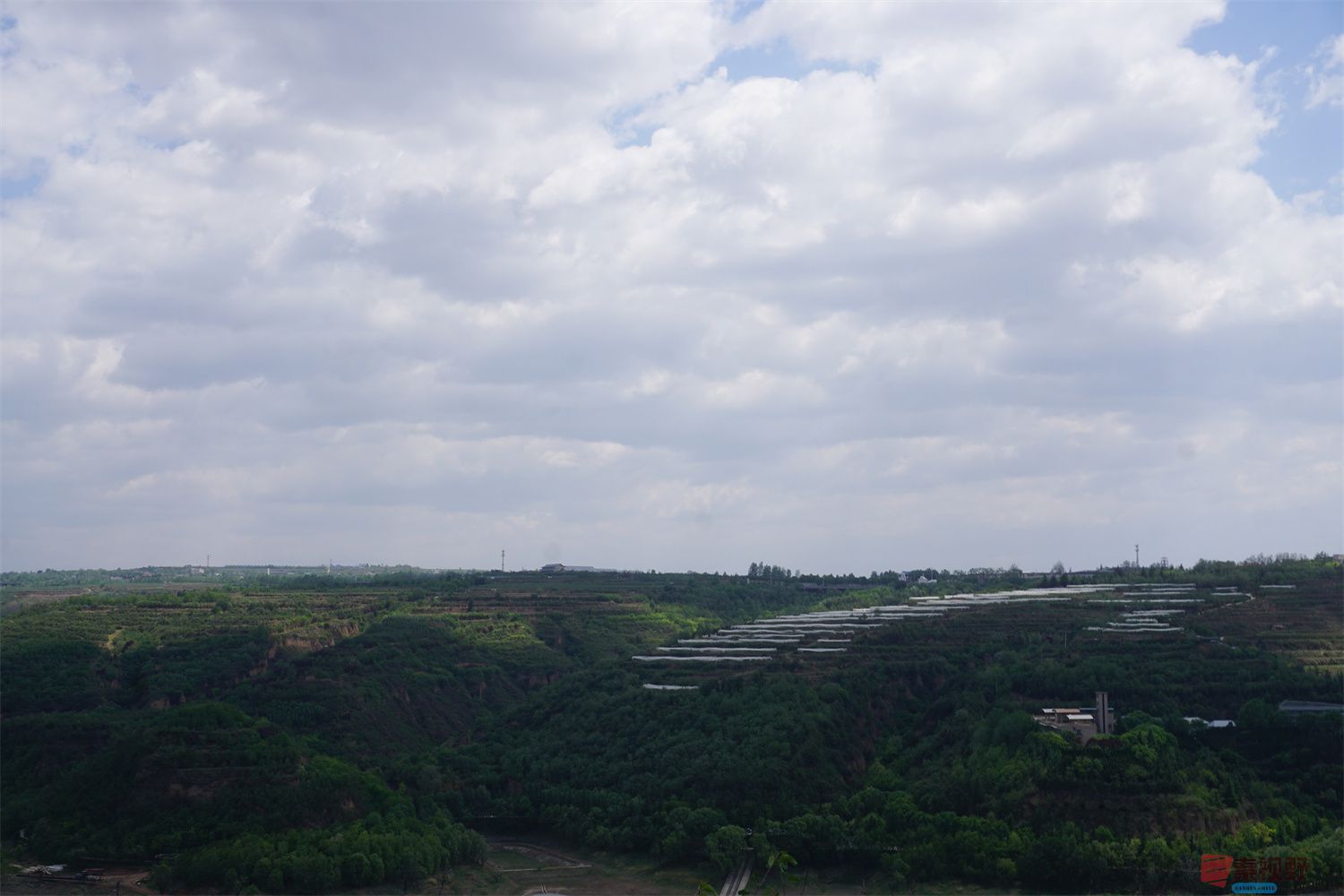 孙宏伟_20250618201055 (12).jpg