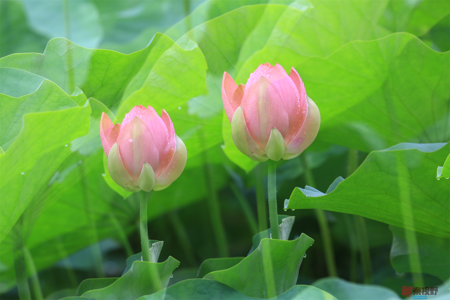 王建平压缩_20250618200819 (1).png