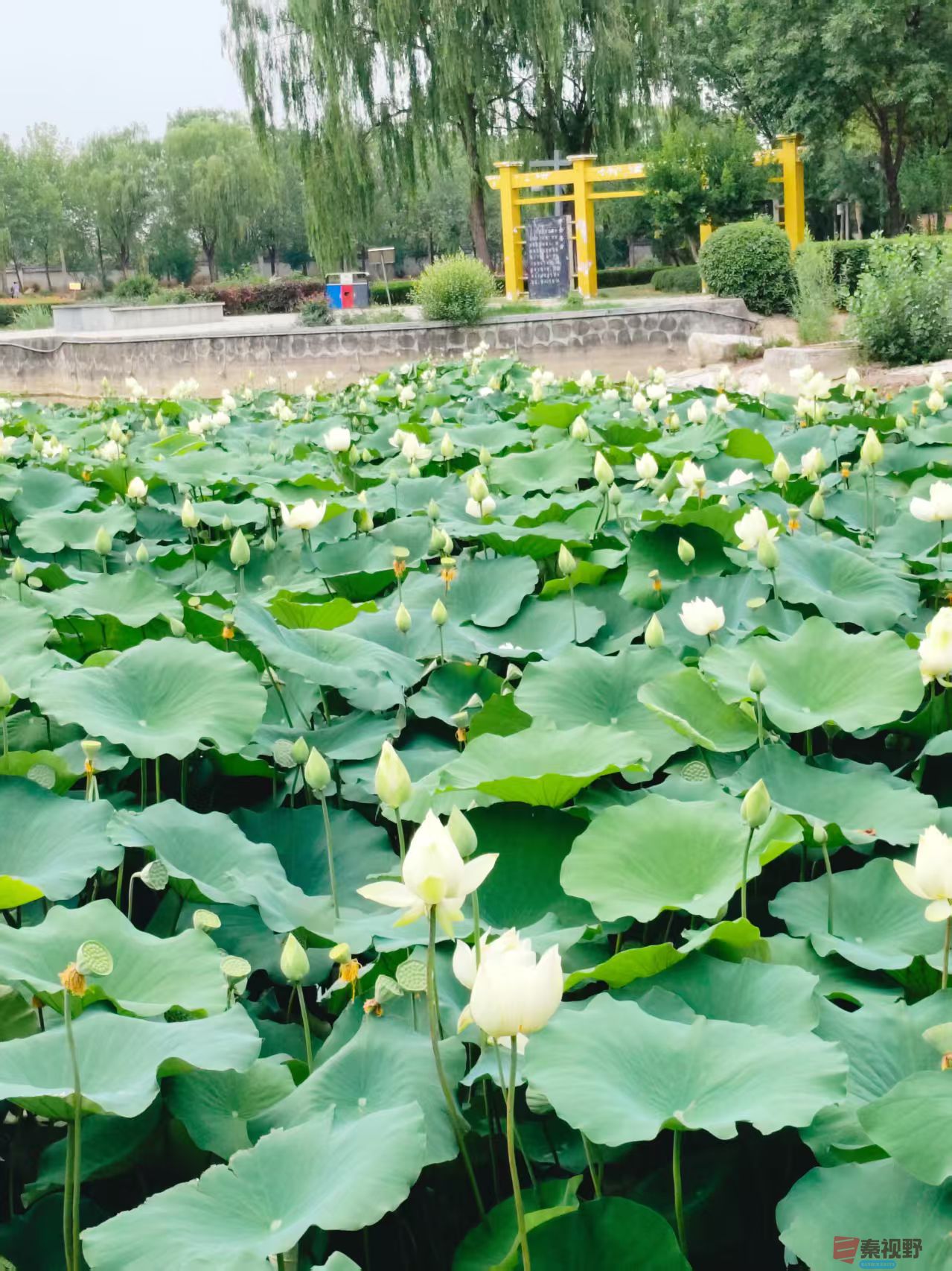 微信图片_20250622175934.jpg