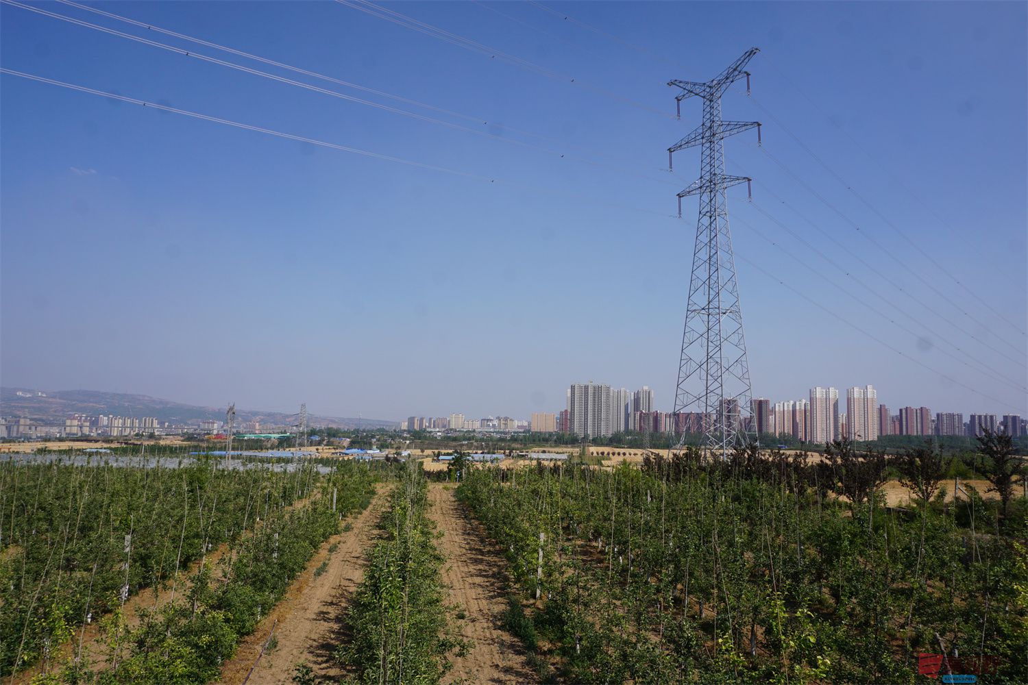孙宏伟压缩_20250623112121 (1).jpg