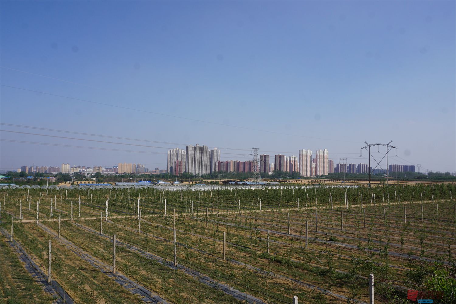 孙宏伟压缩_20250623112121 (10).jpg