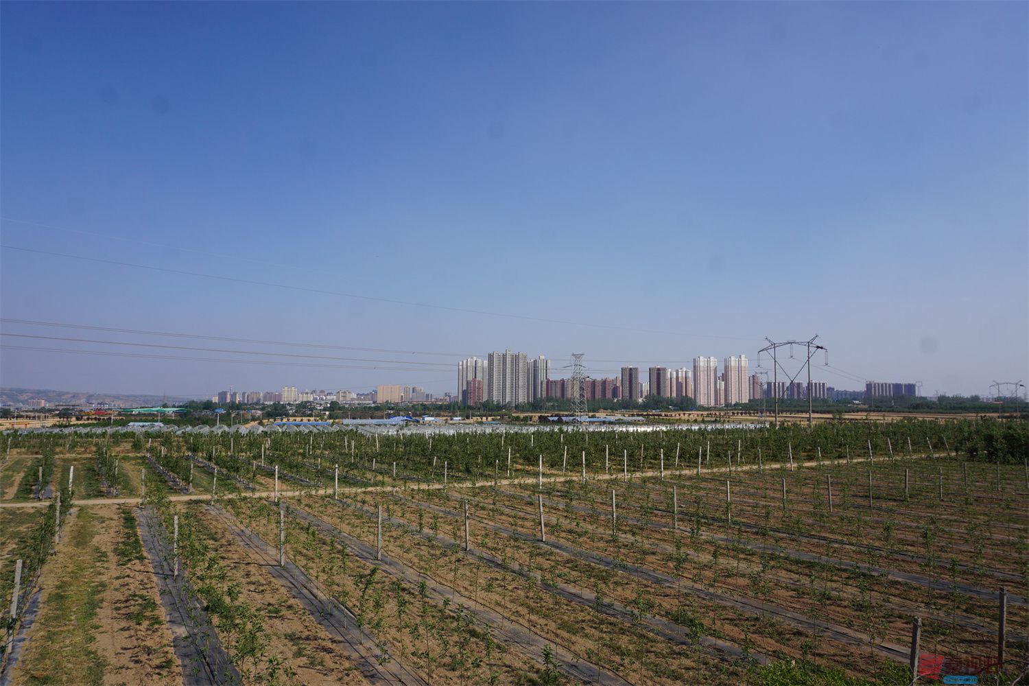 孙宏伟压缩_20250623112121 (8).jpg