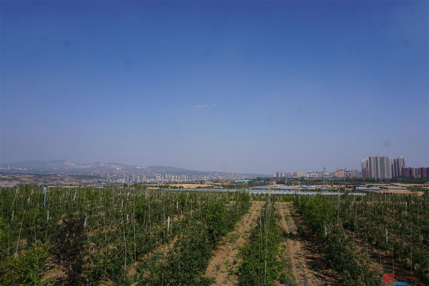 孙宏伟压缩_20250623112121 (7).jpg