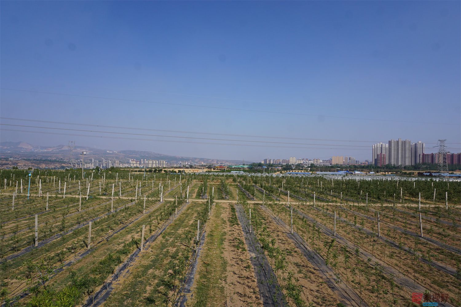 孙宏伟压缩_20250623112121 (9).jpg