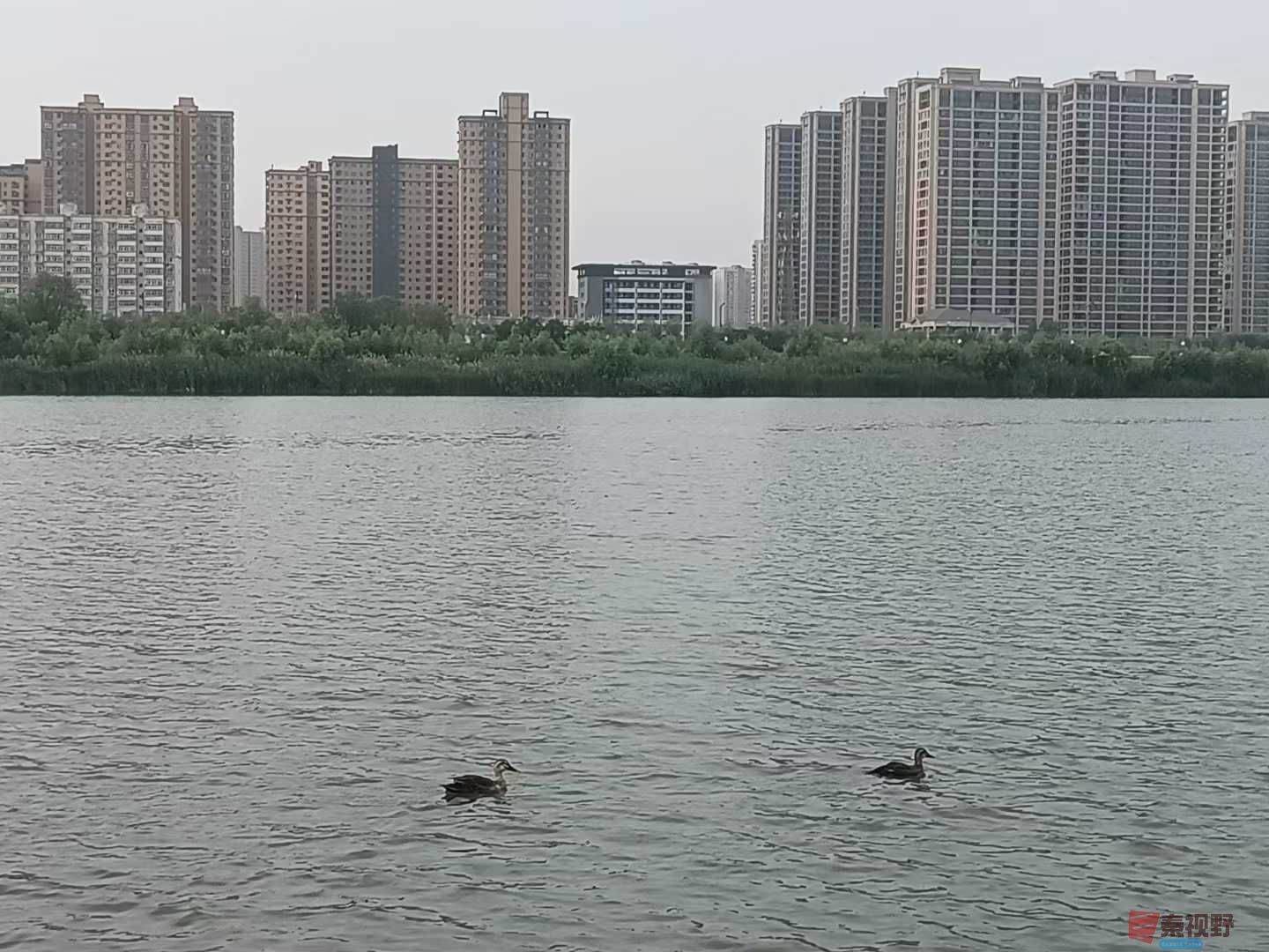 侯晓晓_20250623145319 (1).jpg