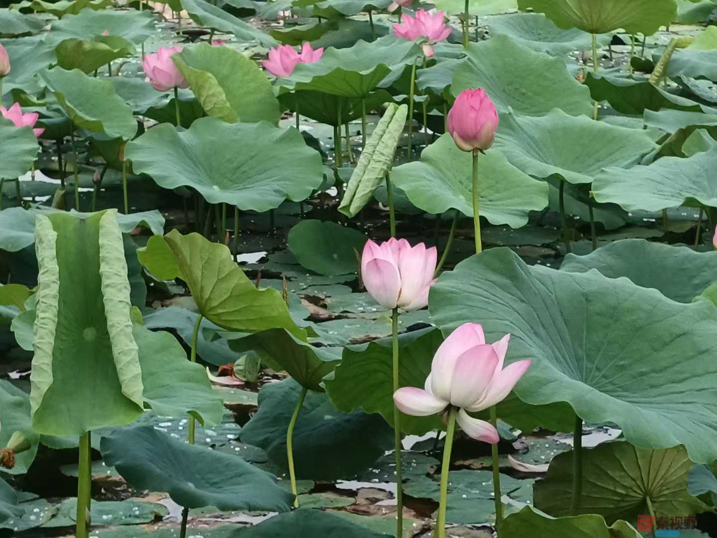 侯晓晓_20250623145319 (2).jpg