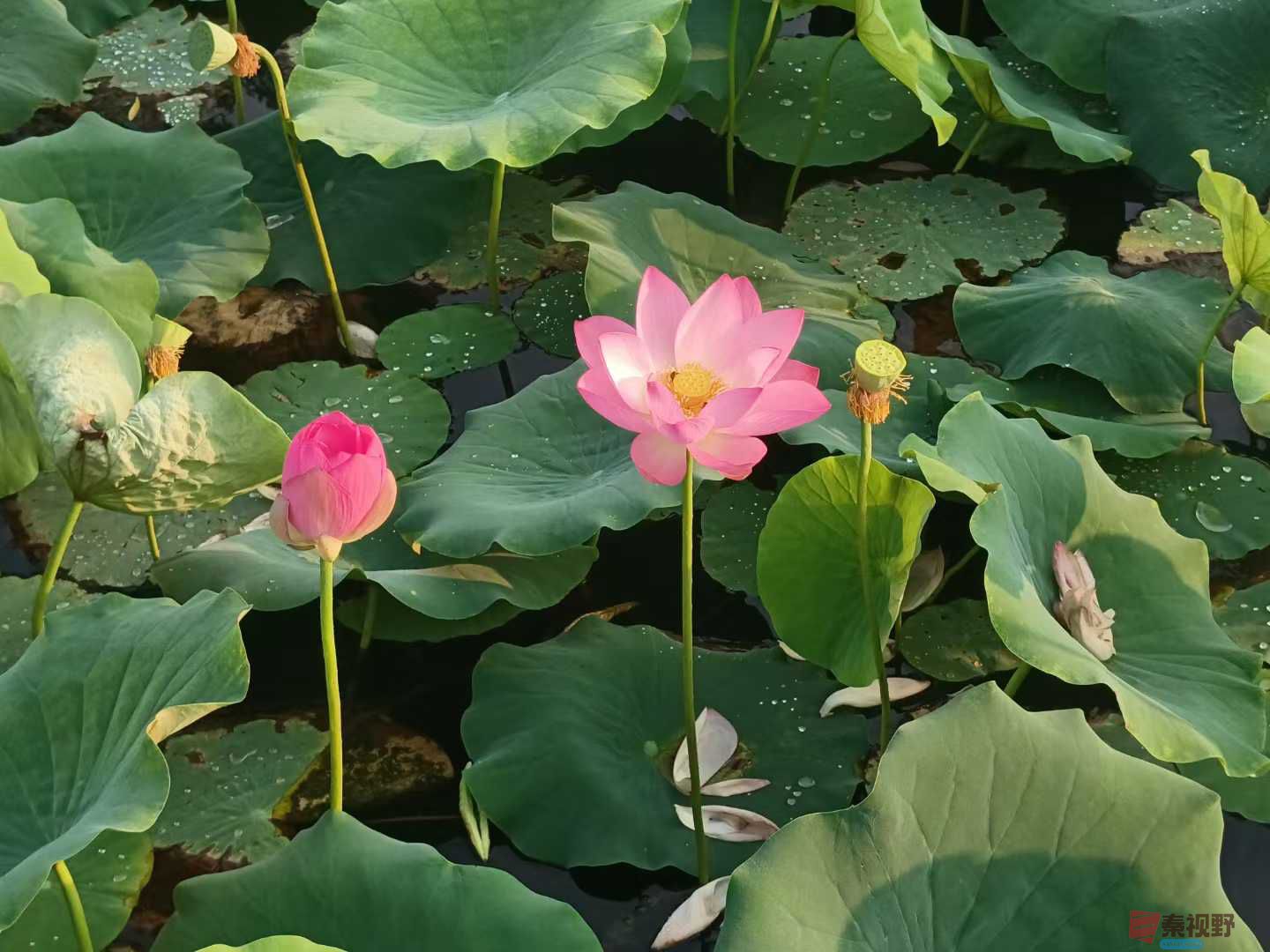 侯晓晓_20250623145319 (5).jpg