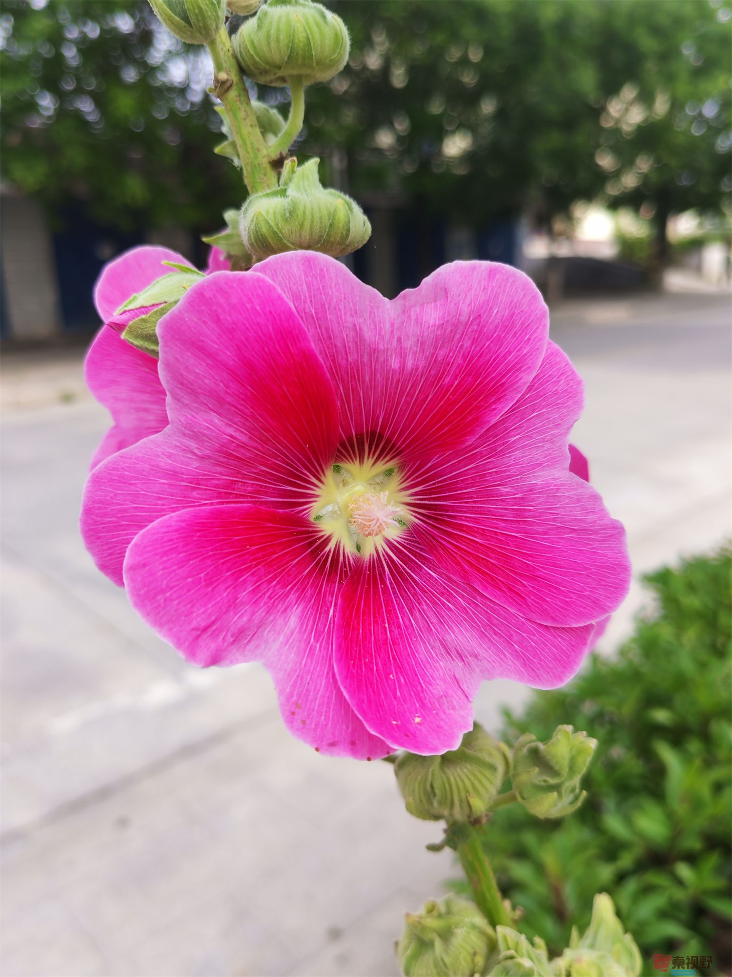 压缩IMG_20250623_175221 (39).jpg