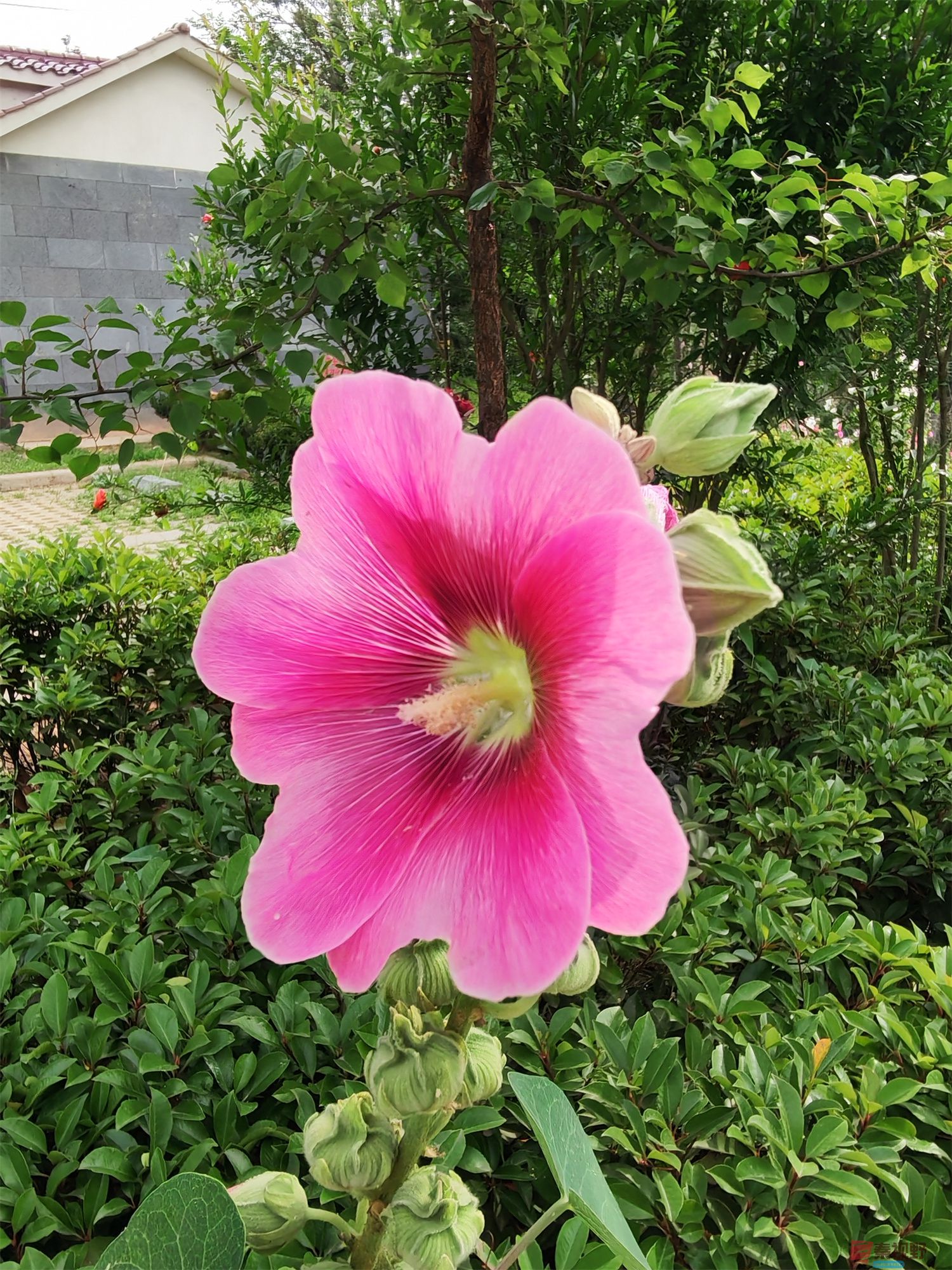 压缩IMG_20250623_175221 (40).jpg