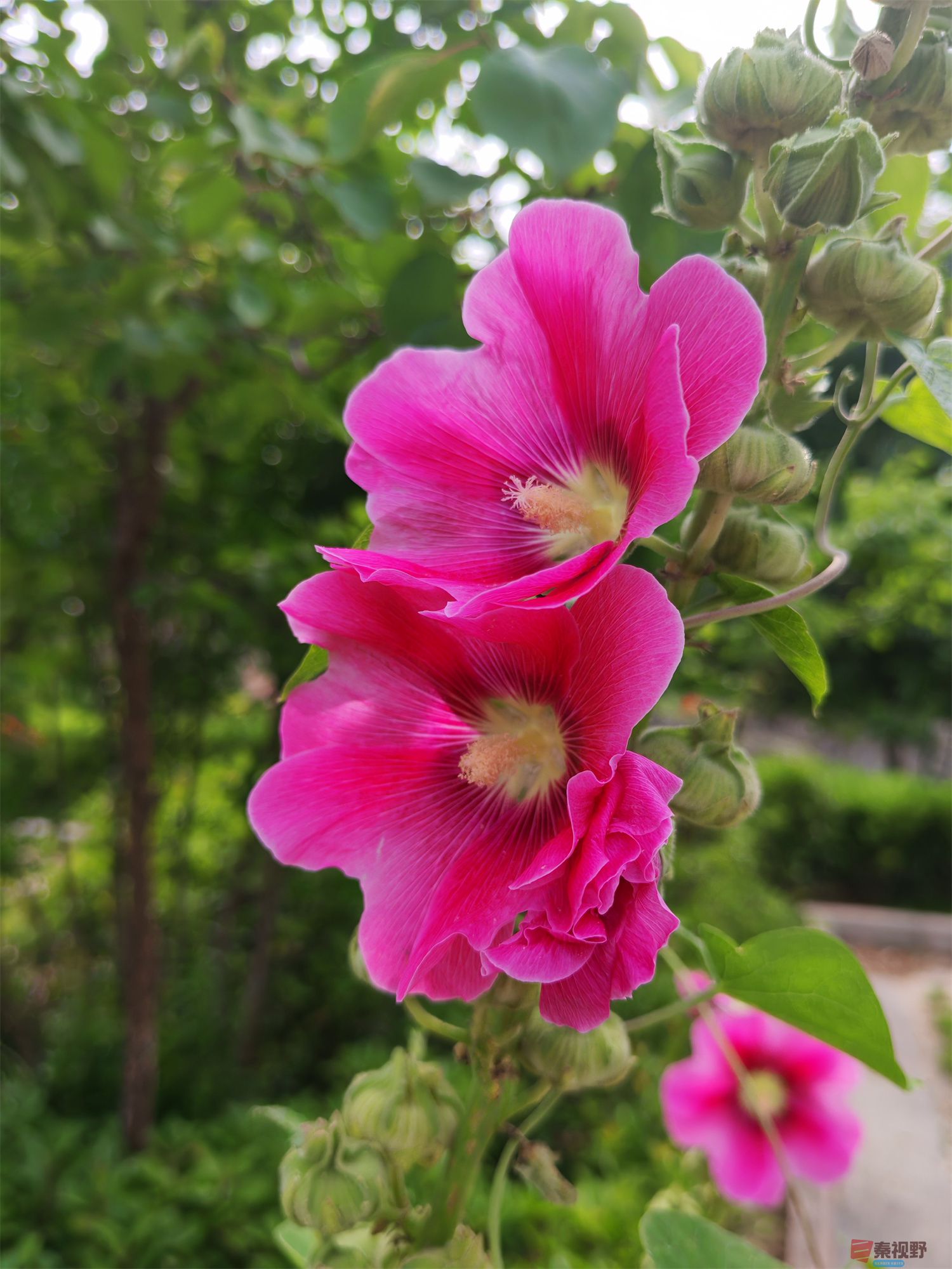 压缩IMG_20250623_175221 (41).jpg